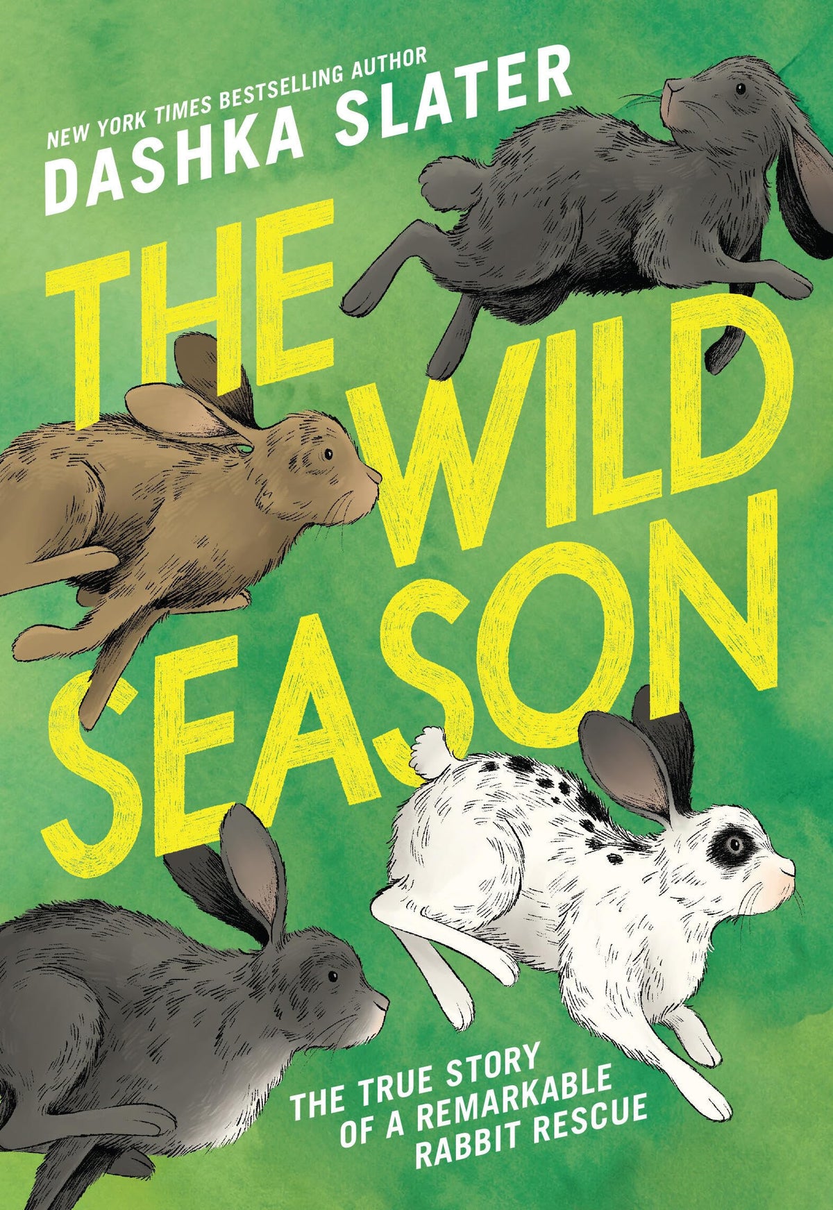 The Wild Season by Dashka Slater