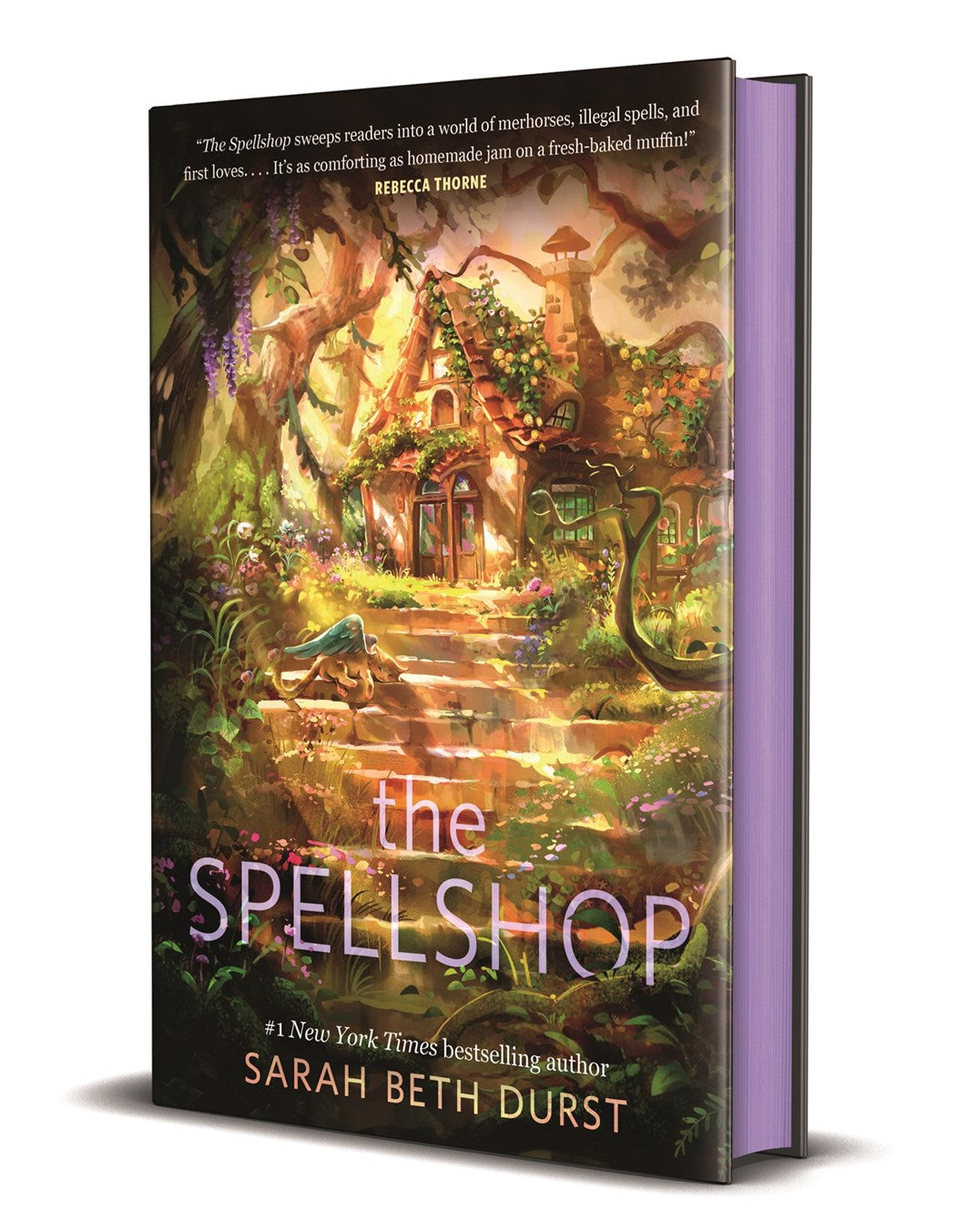 The Spellshop Series by Sarah Beth Durst Bundle (Deluxe)
