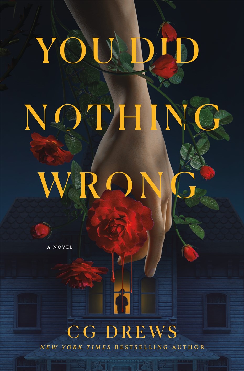 You Did Nothing Wrong A Novel by CG Drews