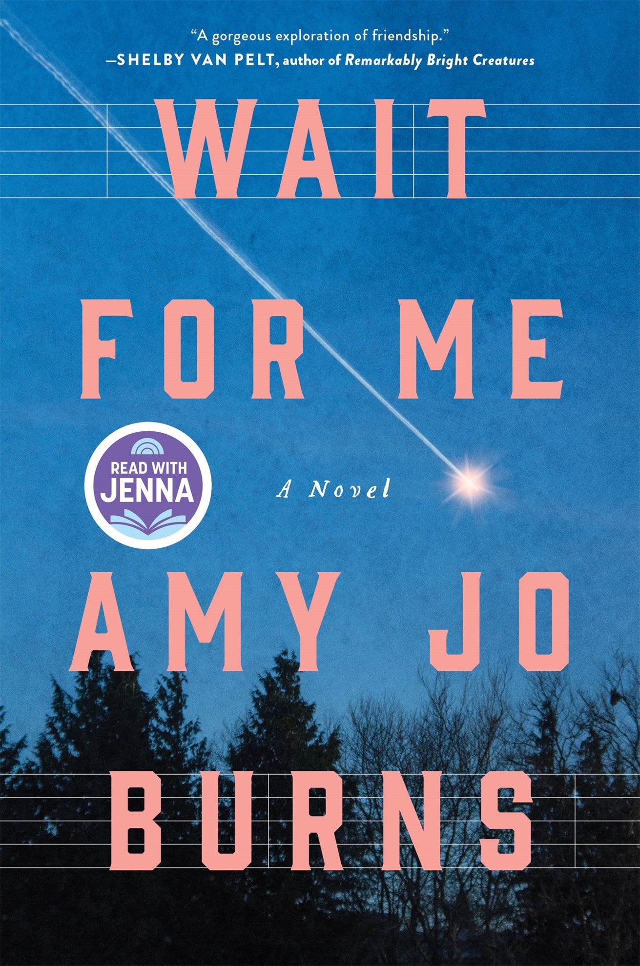 Wait for Me by Amy Jo Burns