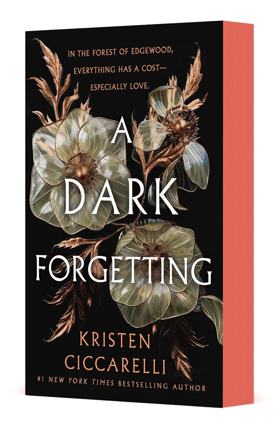 A Dark Forgetting by Kristen Ciccarelli