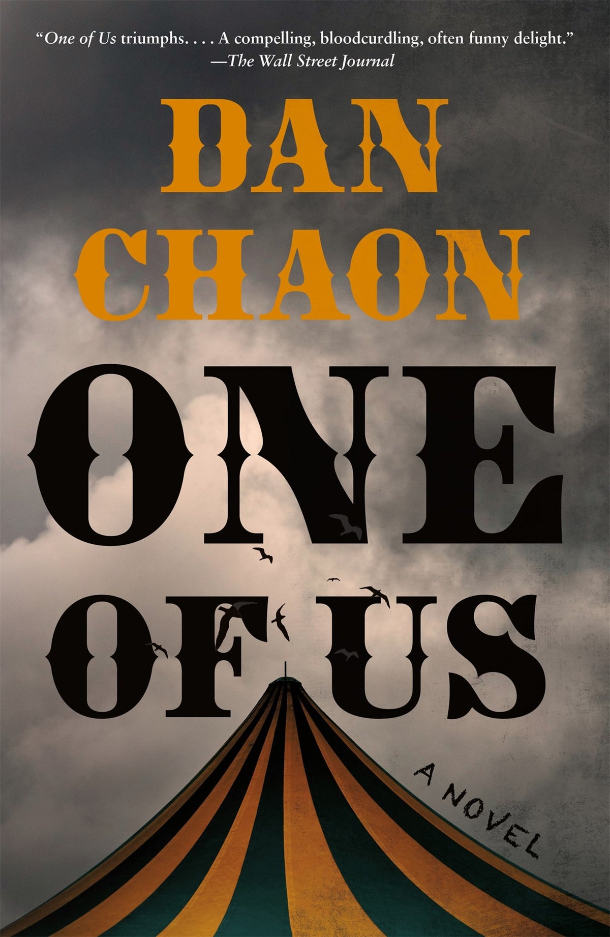 One of Us by Dan Chaon