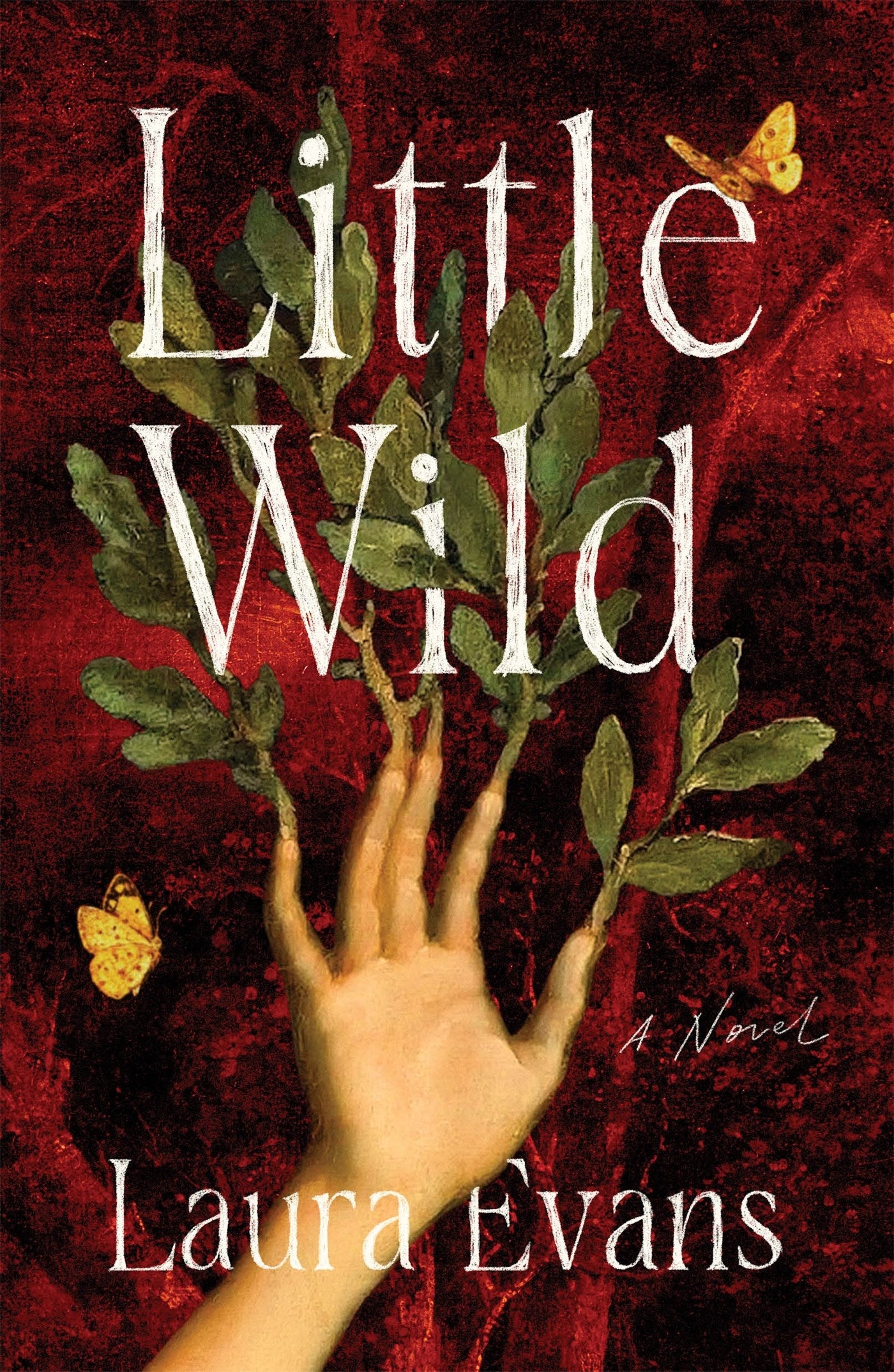 Little Wild by Laura Evans