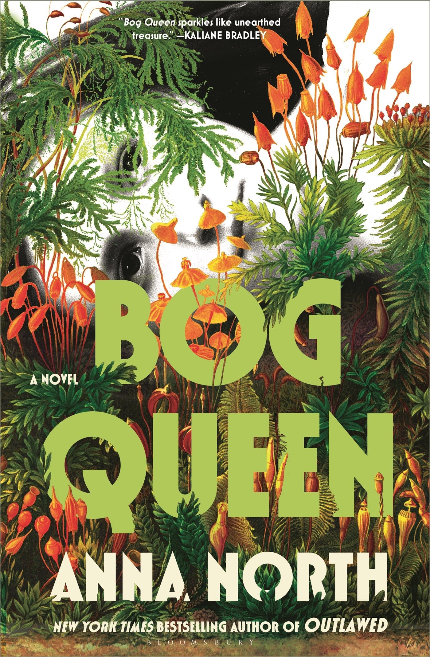 Bog Queen by Anna North