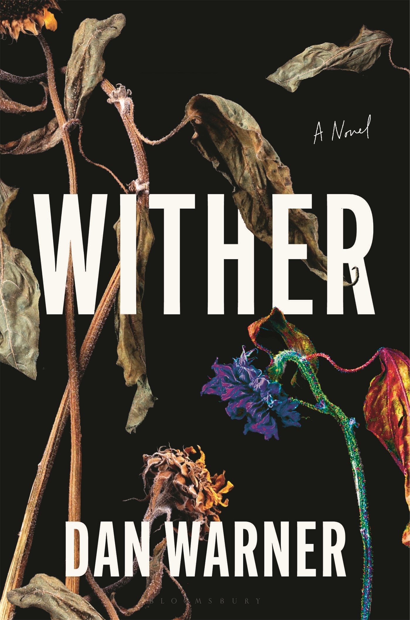 Wither by Dan Warner