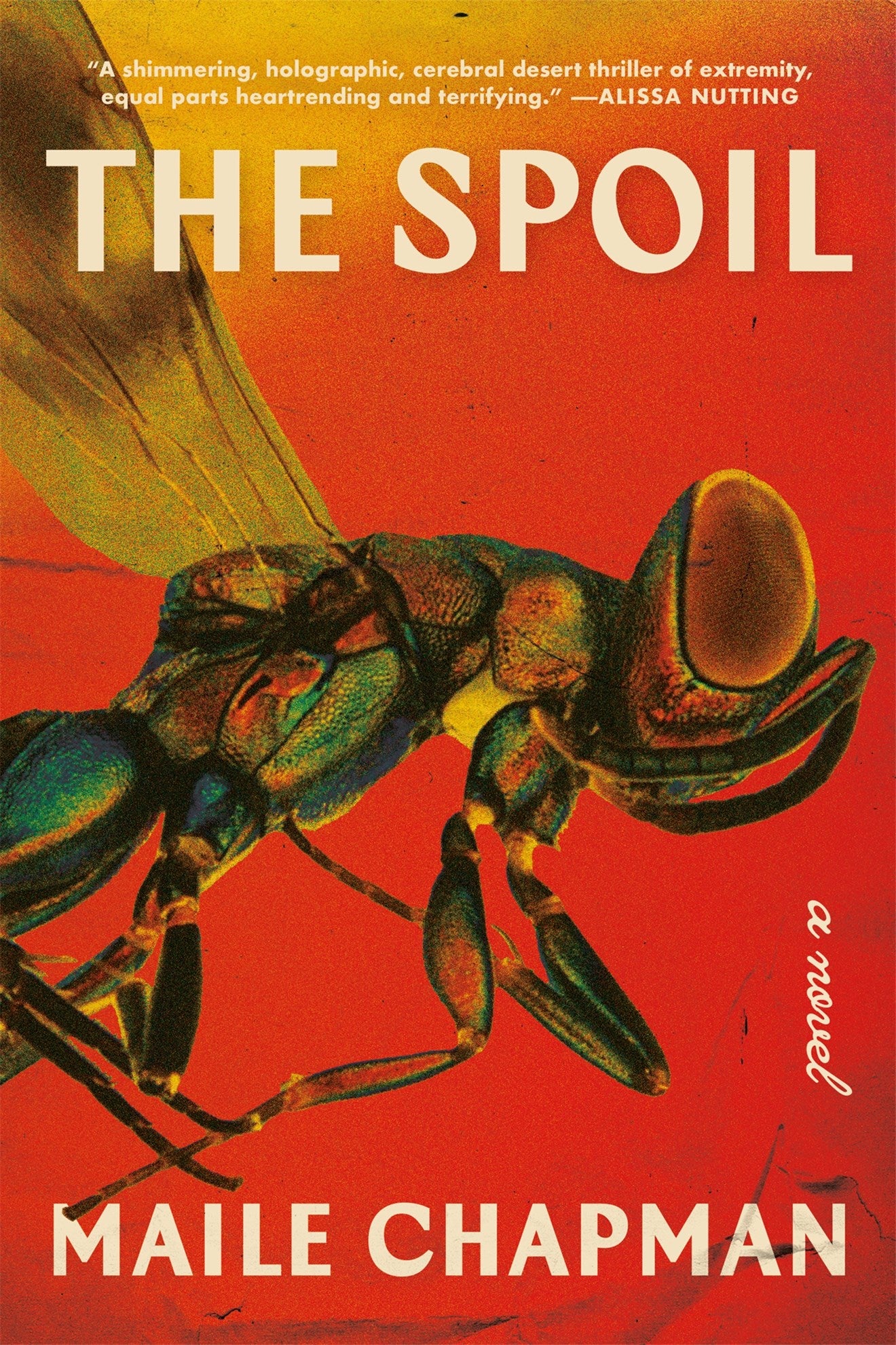 The Spoil by Maile Chapman