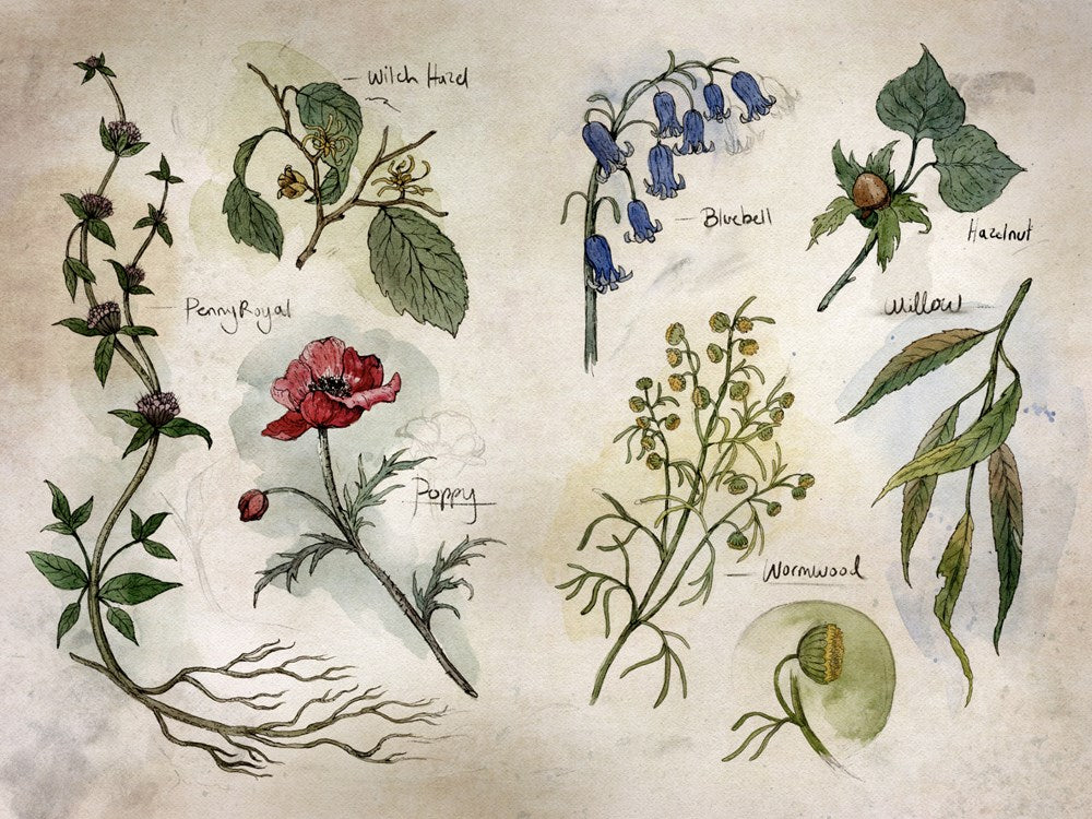 The Changeling Queen by Kimberly Bea (Deluxe Limited Edition)