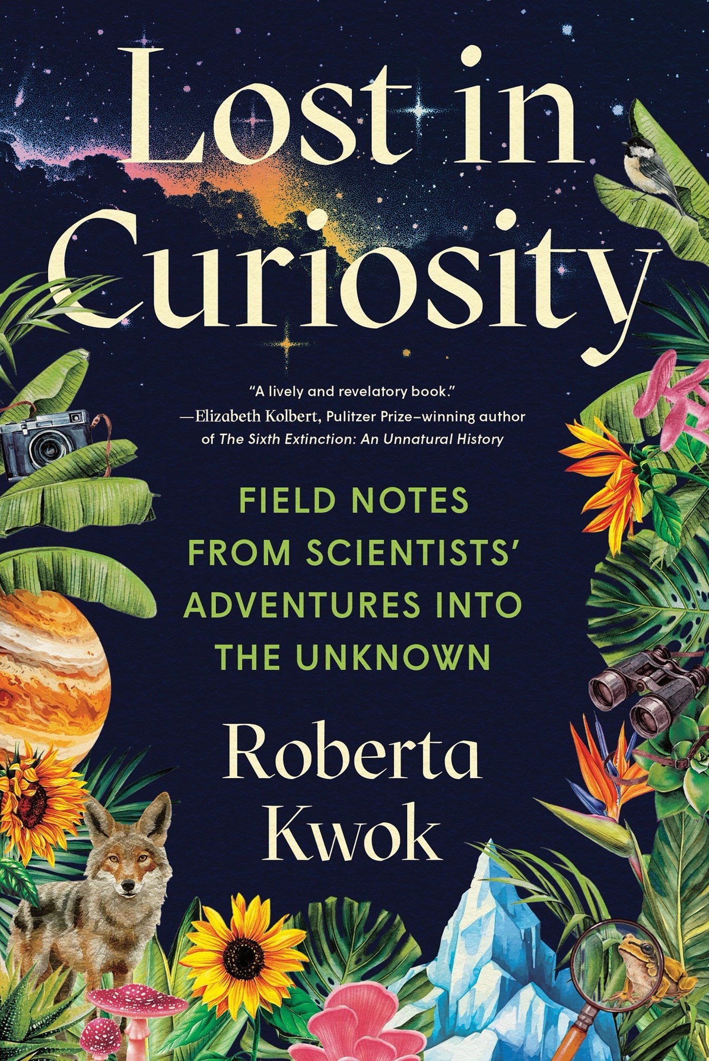 Lost in Curiosity by Roberta Kwok