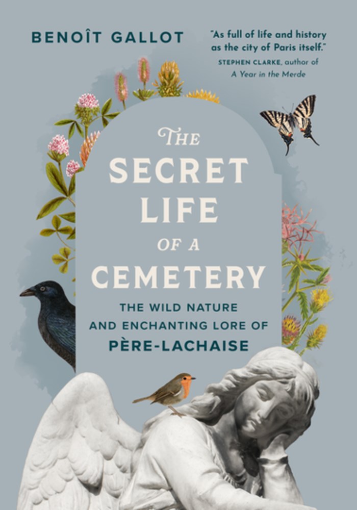 The Secret Life of a Cemetery by Benoît Gallot, Daniel Casanave, Arielle Aaronson