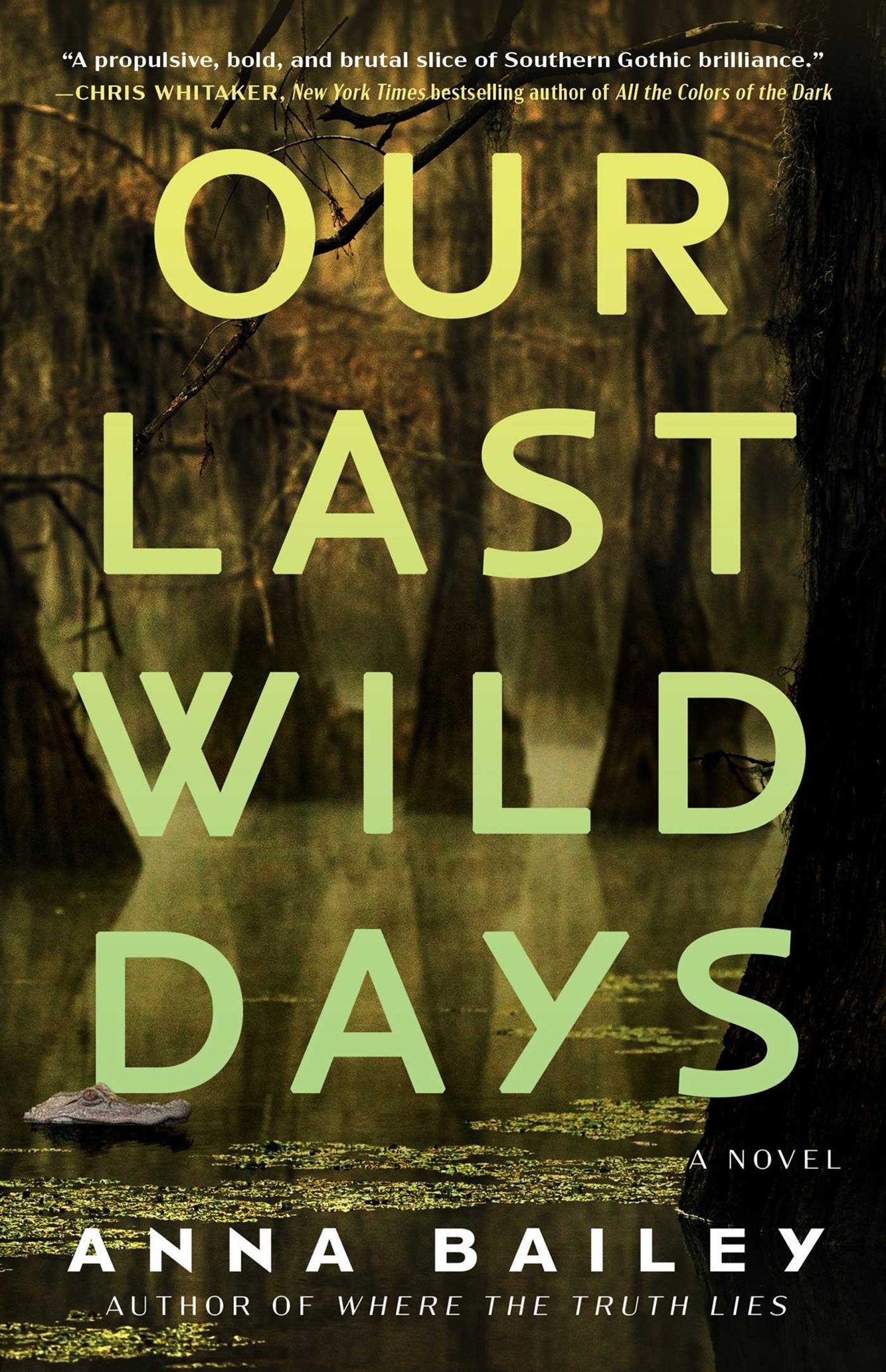 Our Last Wild Days by Anna Bailey