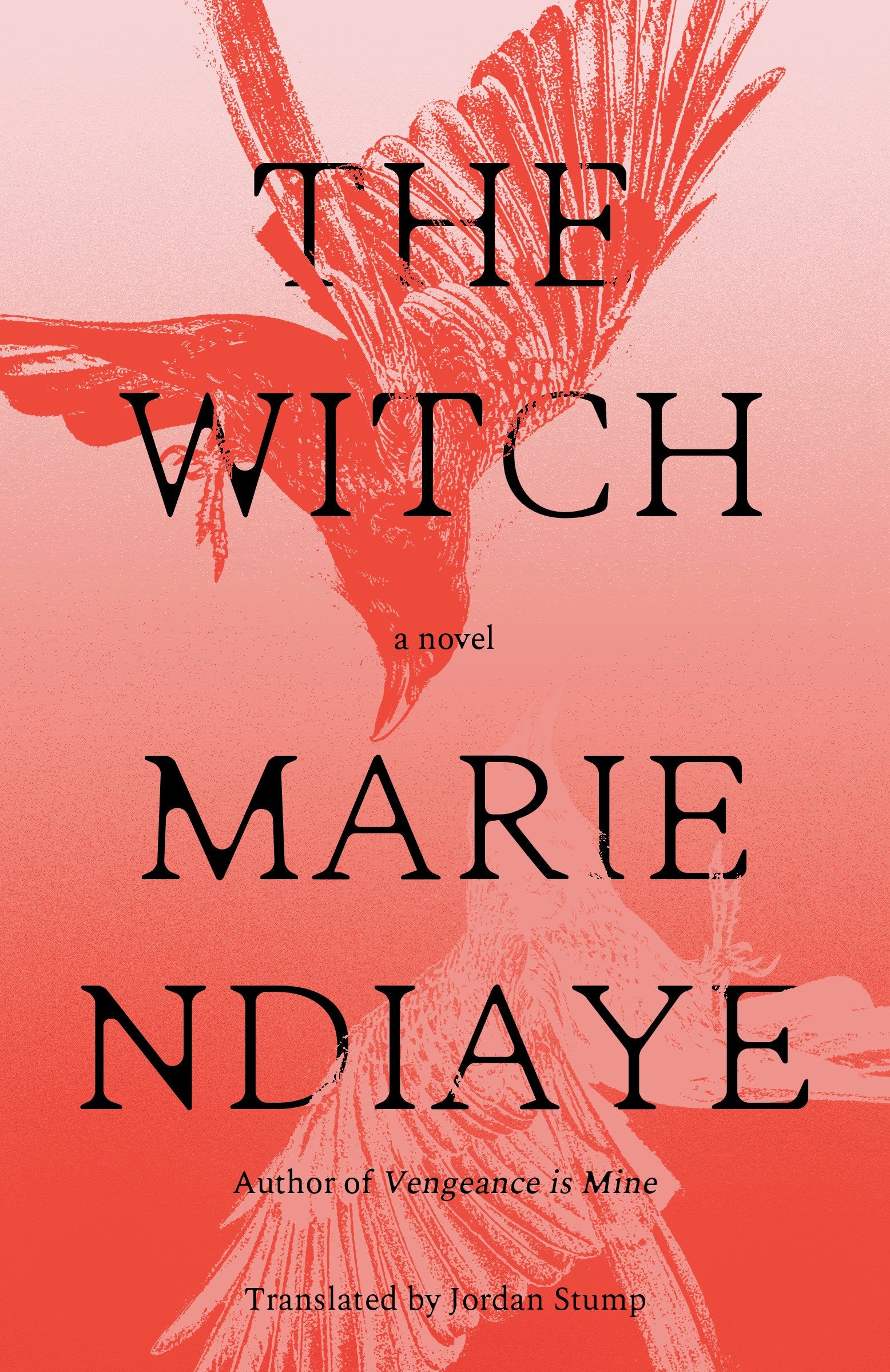 The Witch by Marie NDiaye