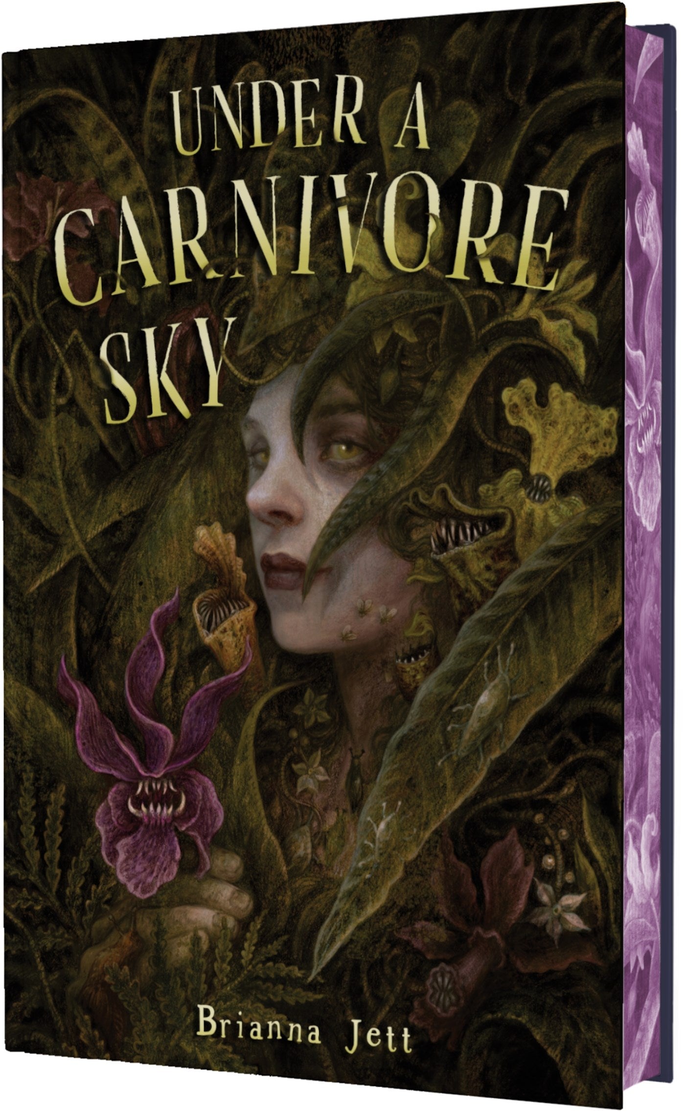 Under a Carnivore Sky by Brianna Jett