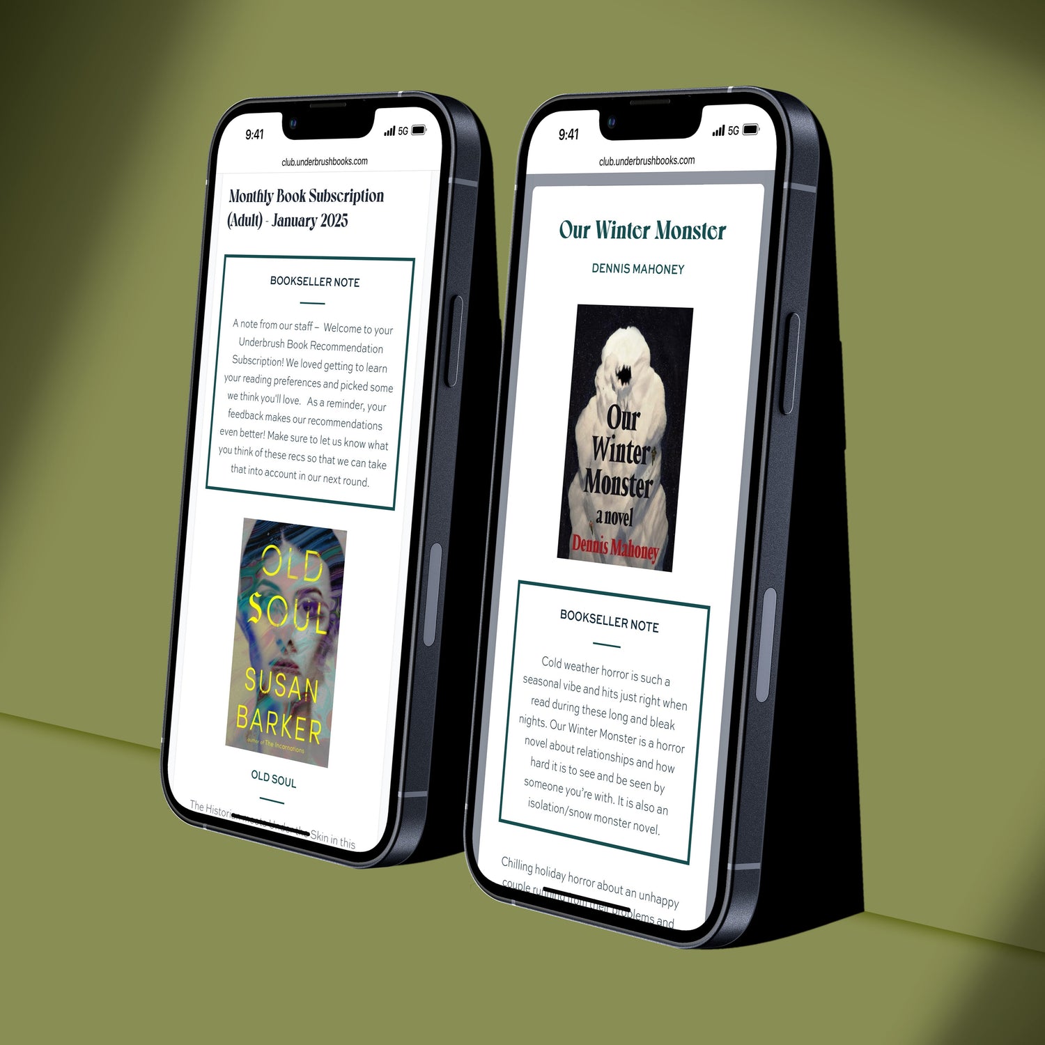 Personalized Monthly Book Box (Adults)