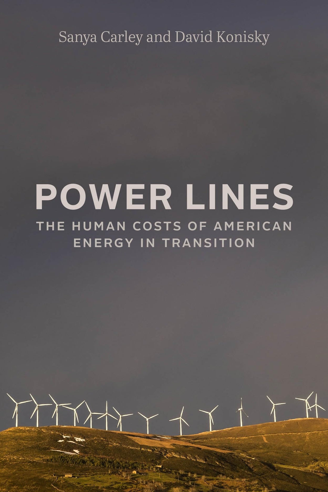 Power Lines by Sanya Carley, David Konisky