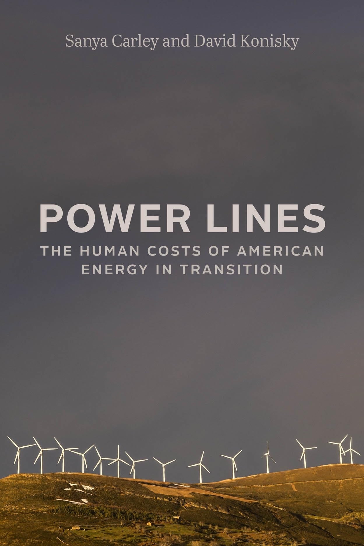 Power Lines by Sanya Carley, David Konisky
