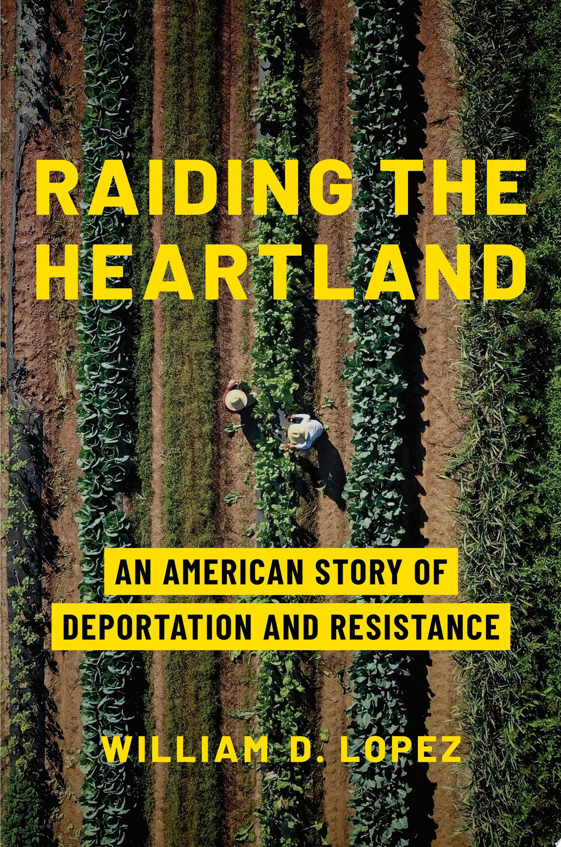 Raiding the Heartland by William D. Lopez