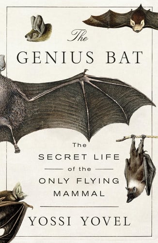 The Genius Bat: The Secret Life of the Only Flying Mammal by Yossi Yovel