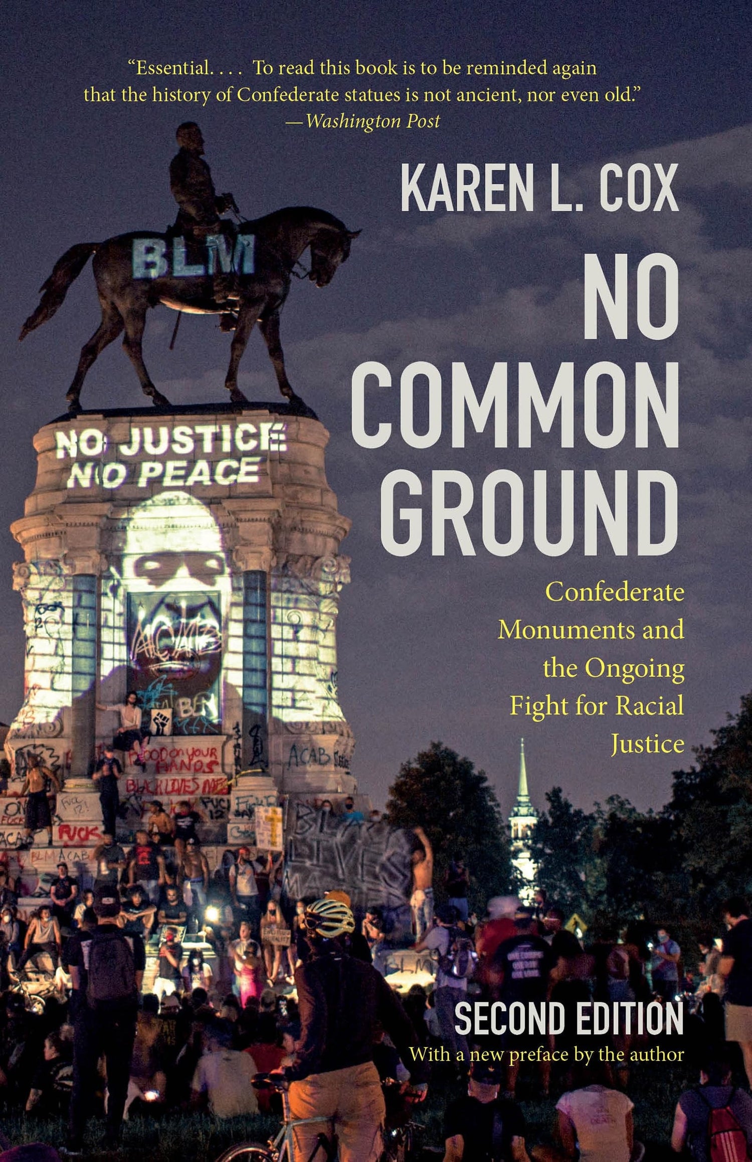 No Common Ground by Karen L. Cox
