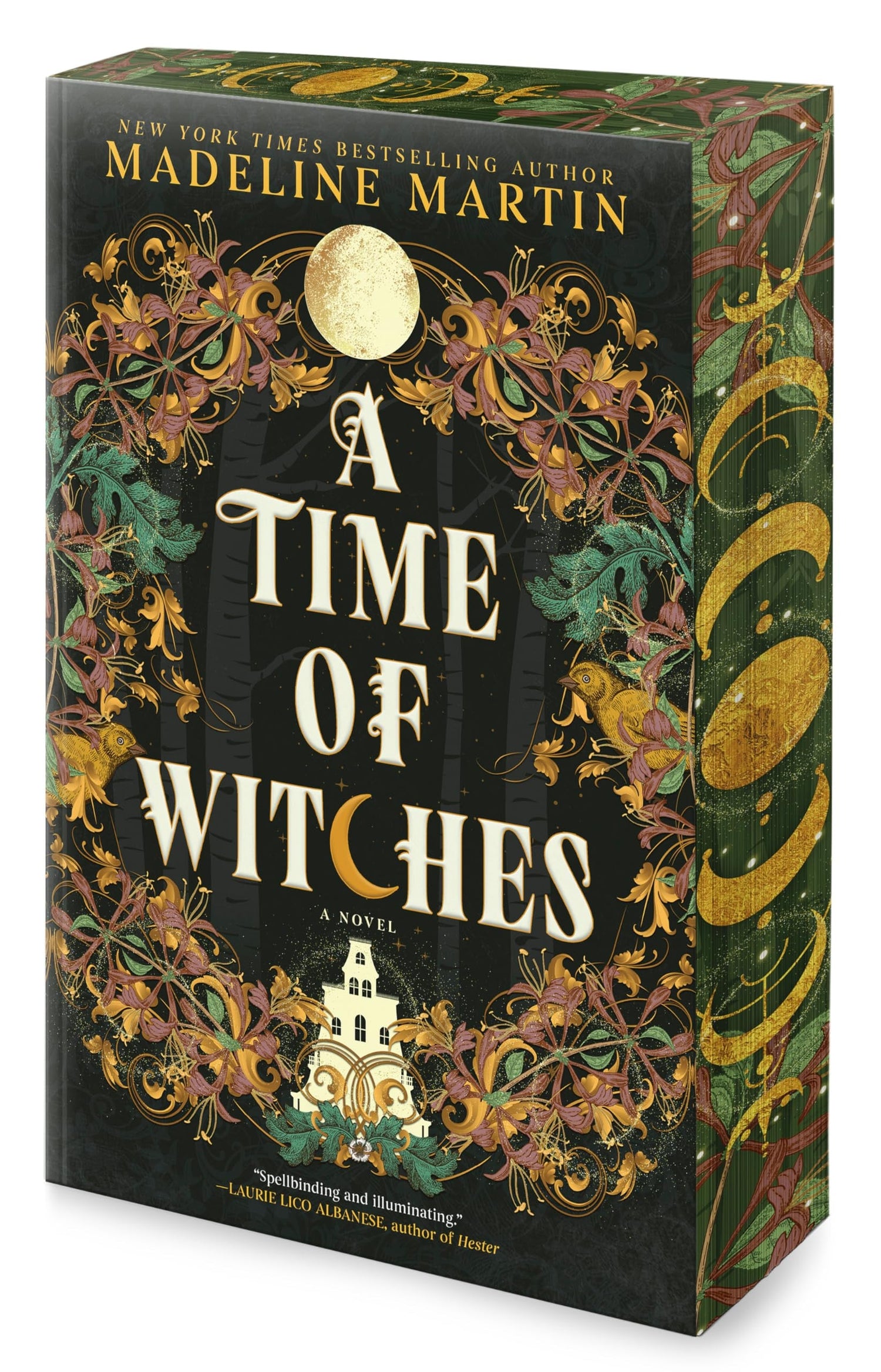A Time of Witches by Madeline Martin