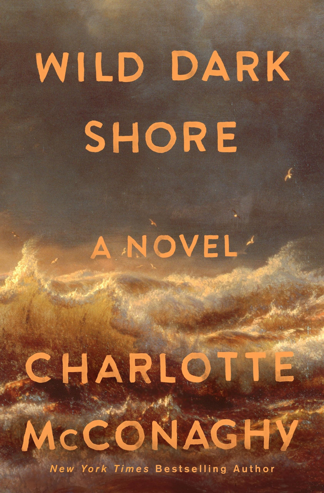 Wild Dark Shore A Novel by Charlotte McConaghy