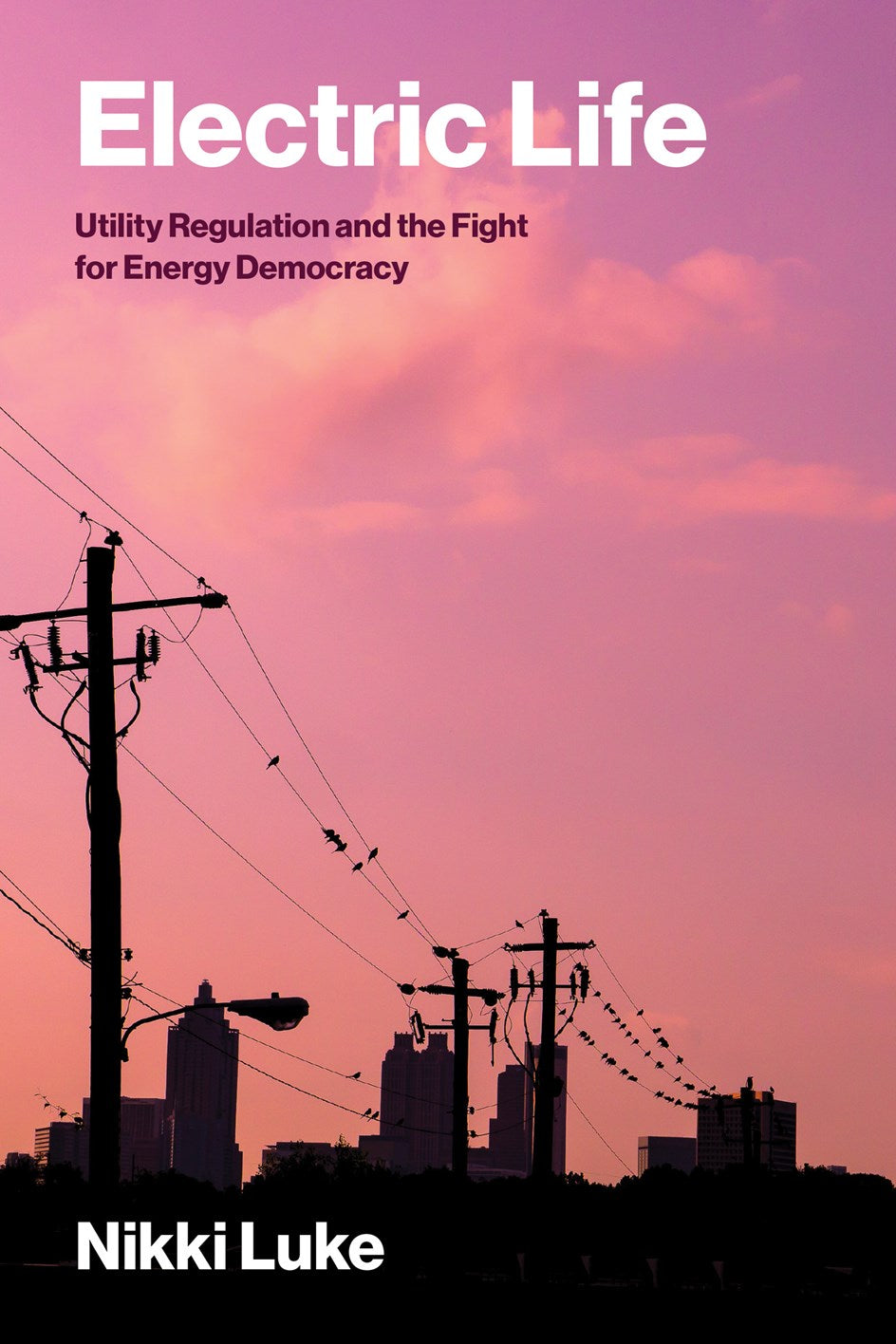 Electric Life by Nikki Luke