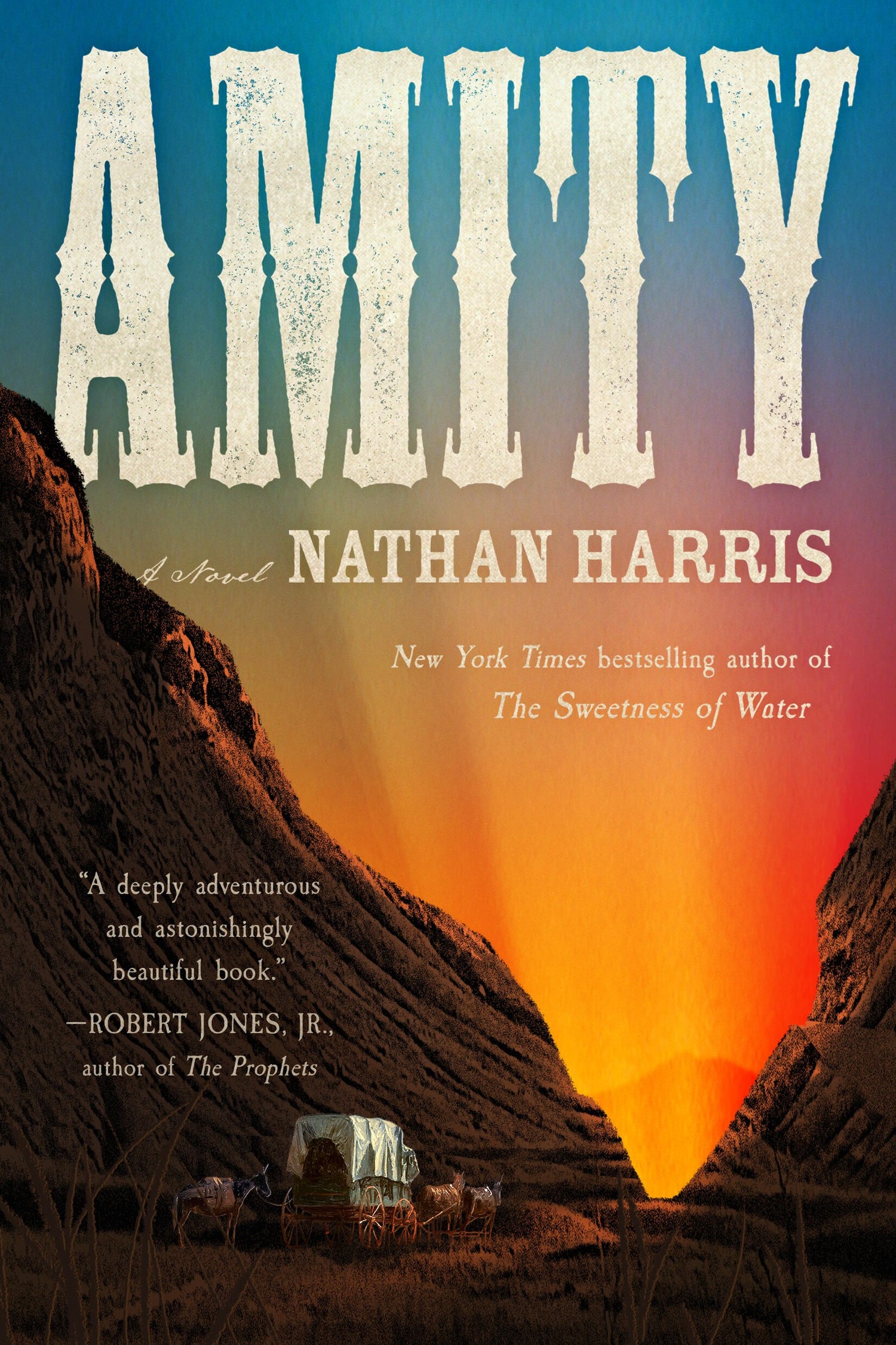 Amity by Nathan Harris
