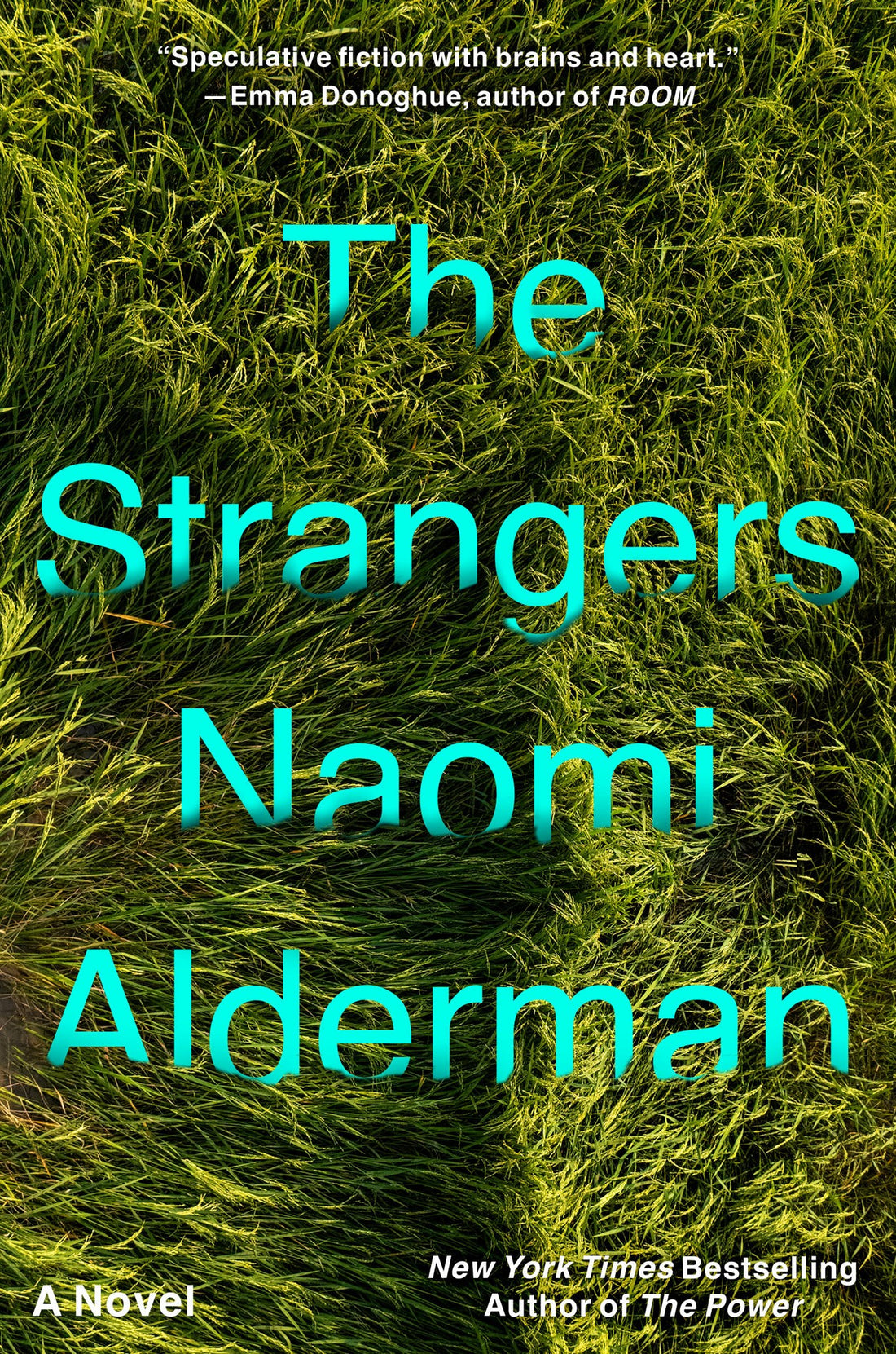The Strangers by Naomi Alderman