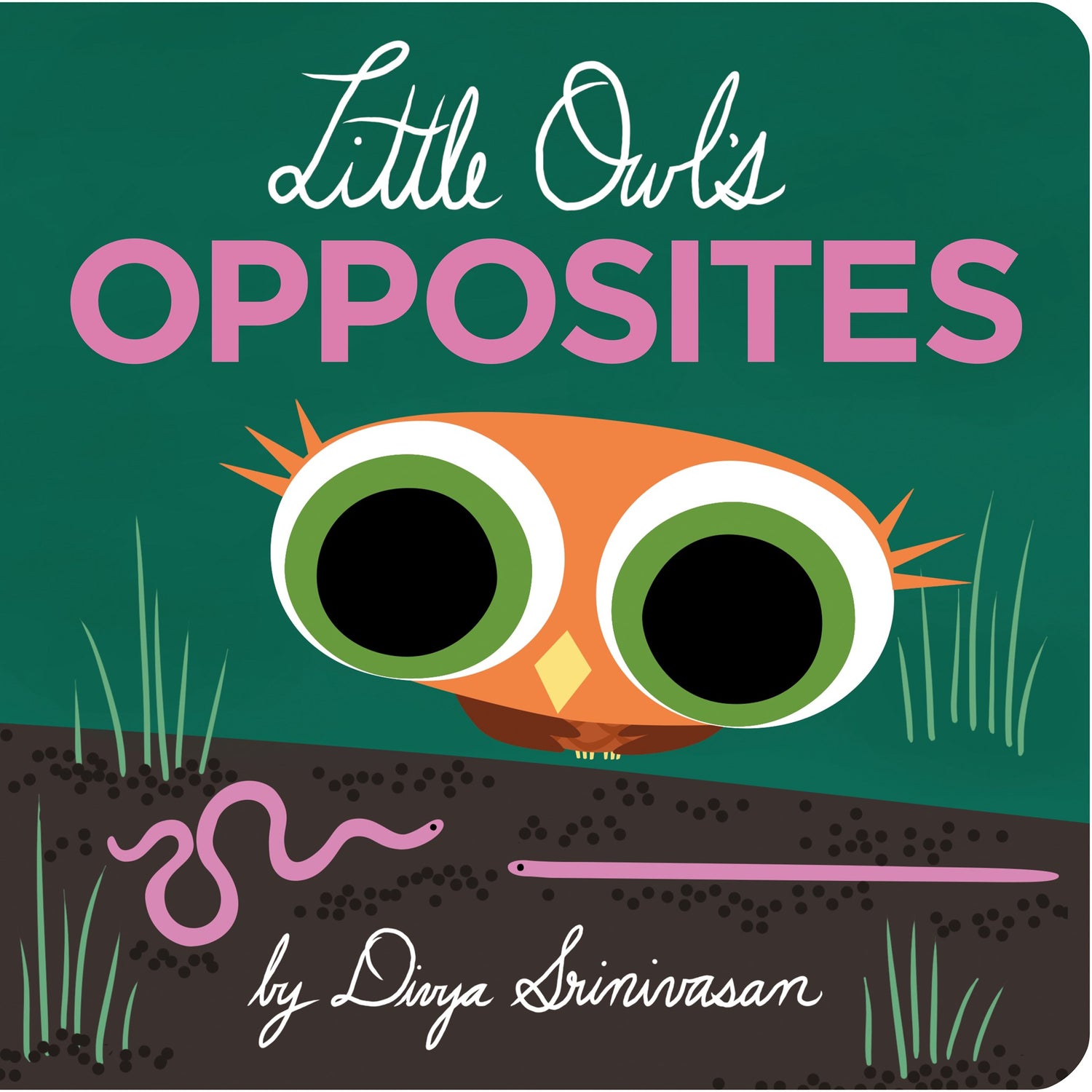 Little Owl&