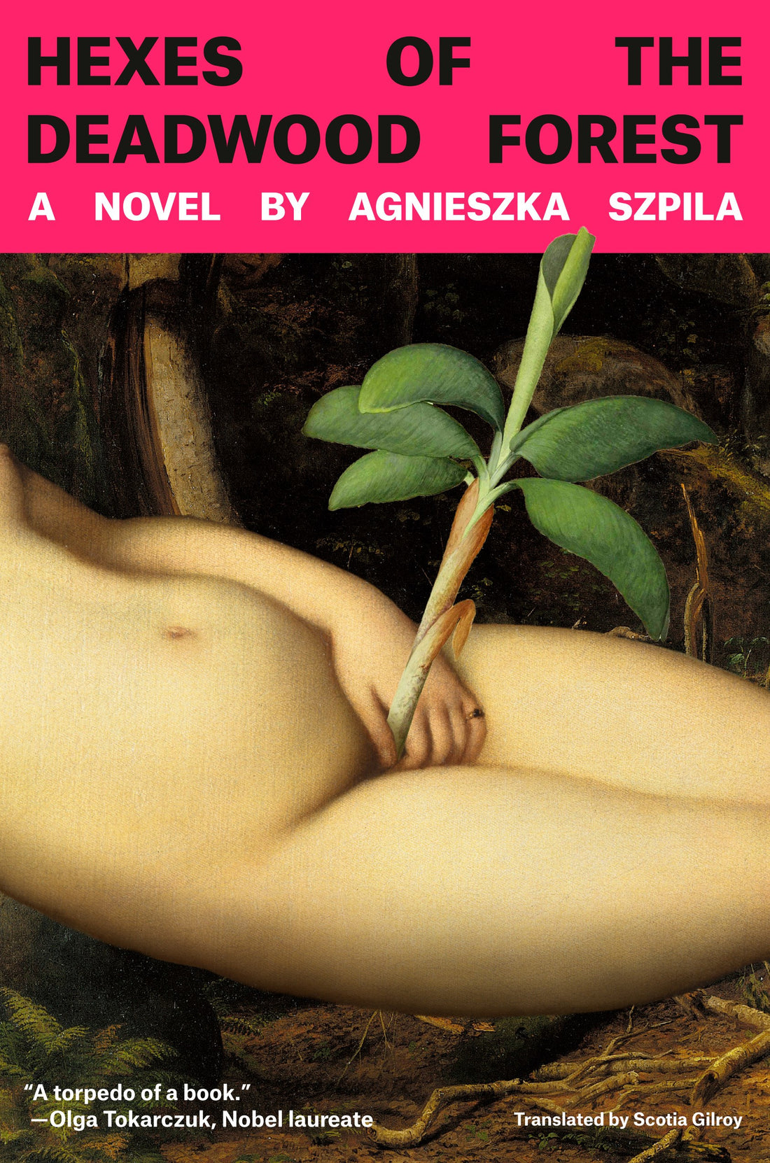 Hexes of the Deadwood Forest by Agnieszka Szpila