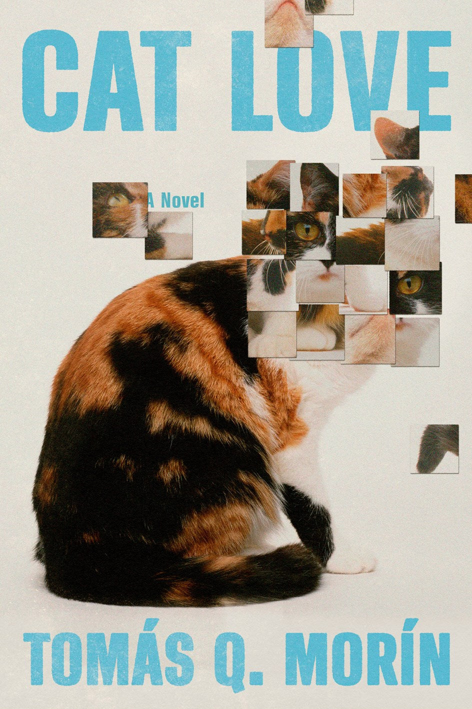 Cat Love by Tomás Q. Morín
