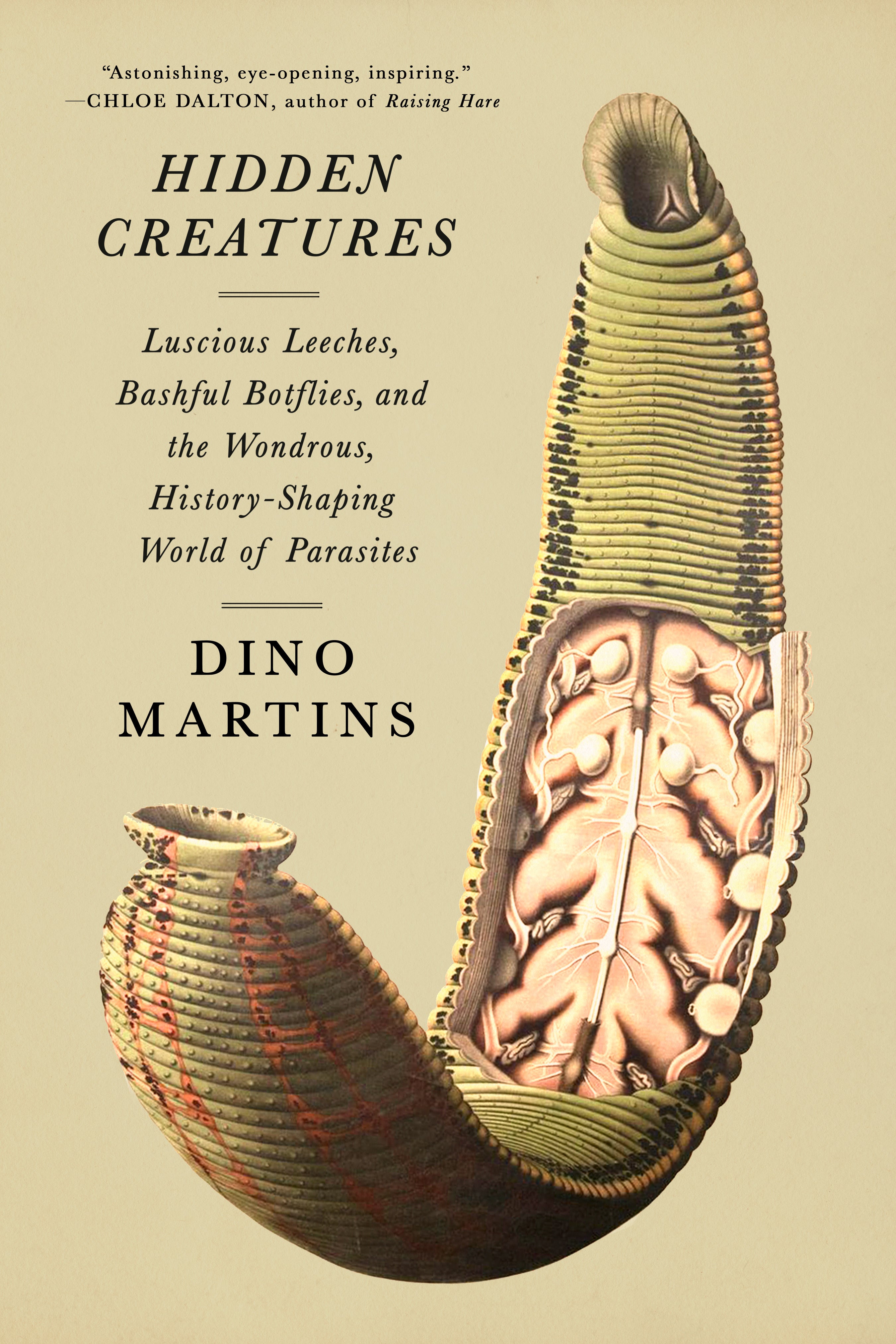Hidden Creatures by Dino Martins