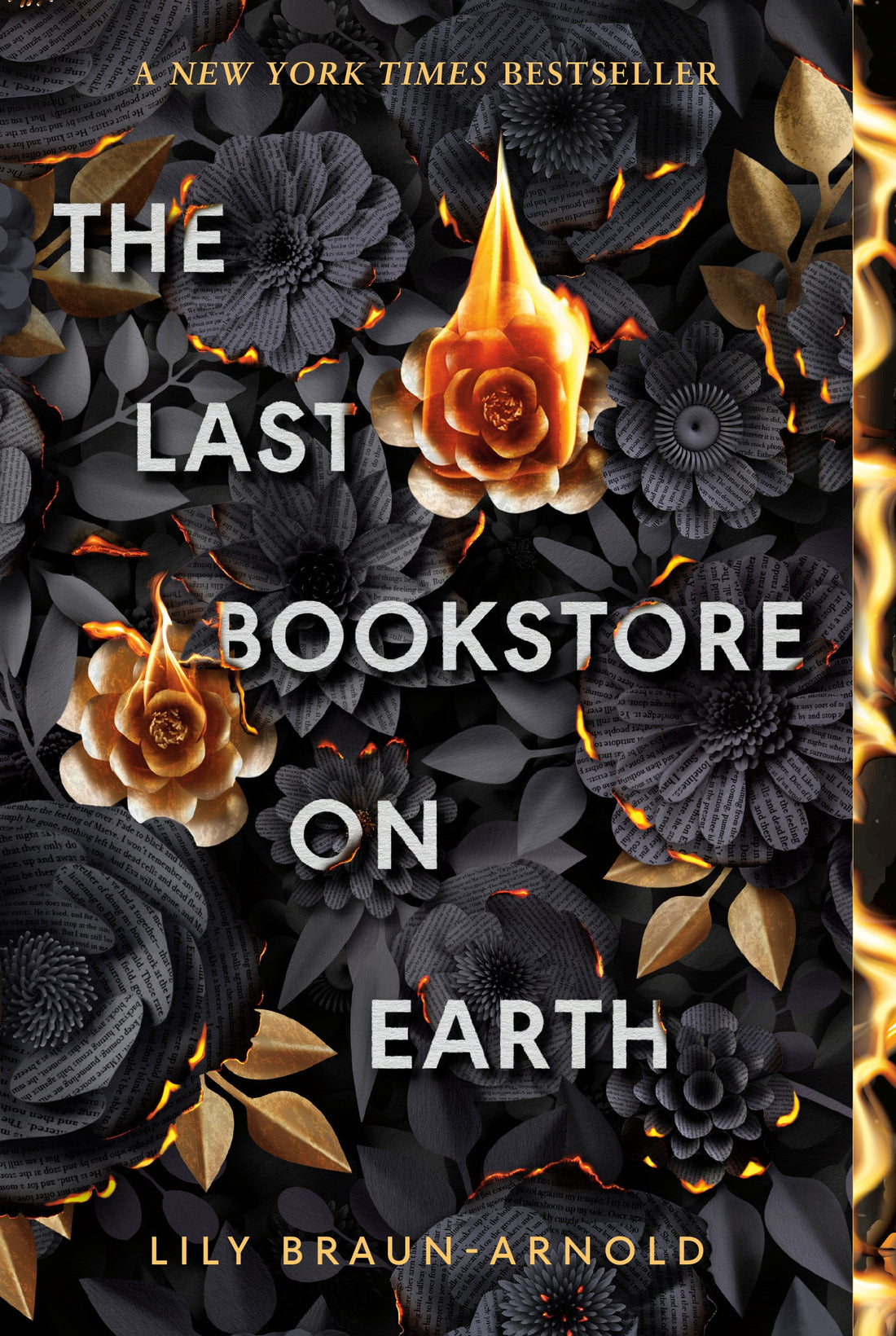 Last Bookstore on Earth by Lily Braun-Arnold