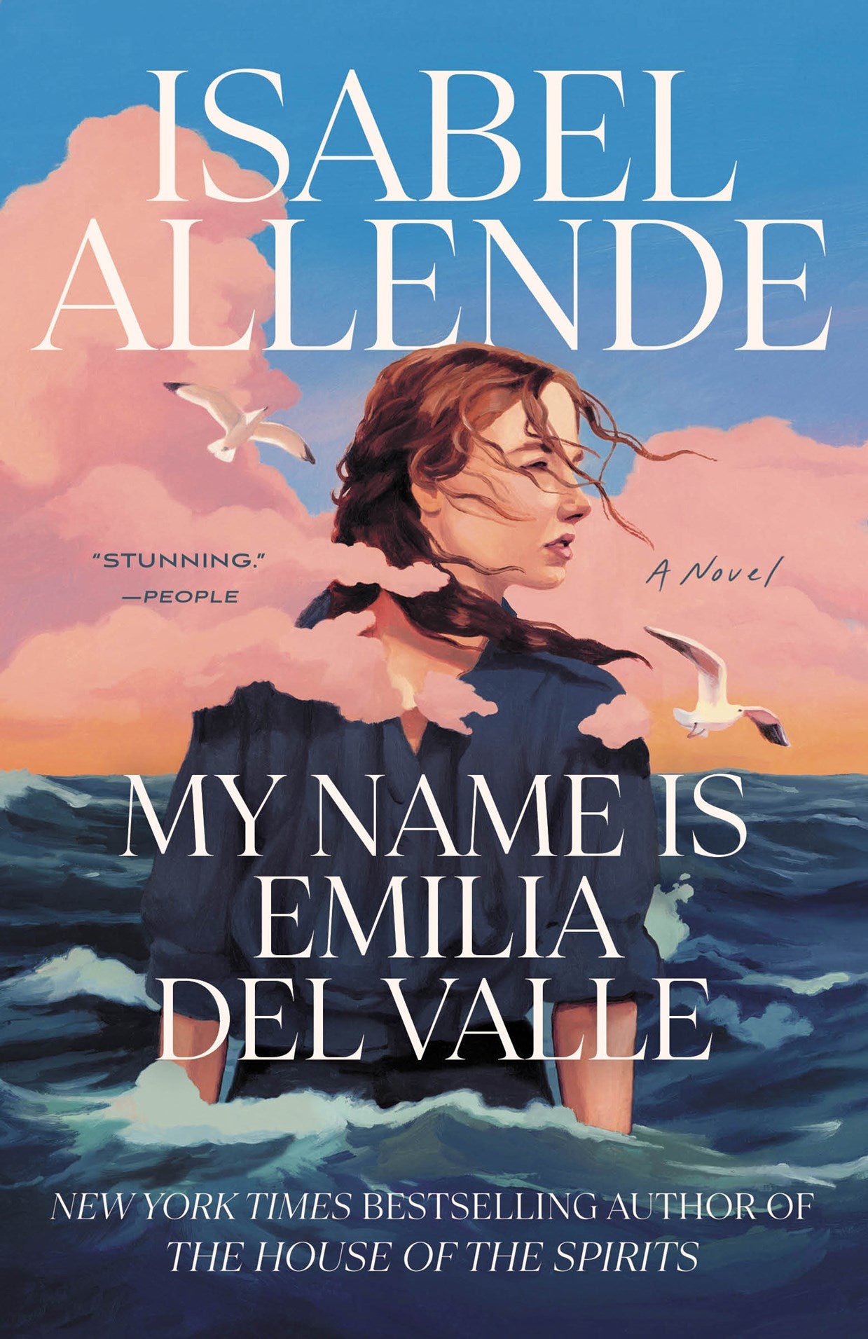My Name is Emilia del Valle by Isabel Allende, Frances Riddle