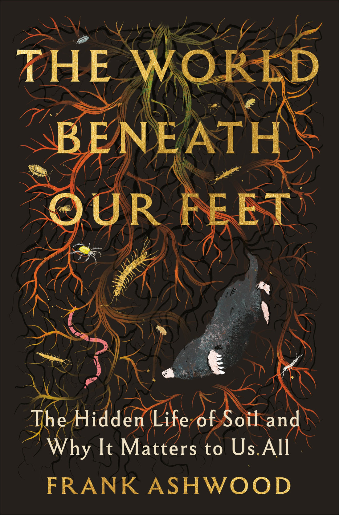The World Beneath Our Feet by Frank Ashwood