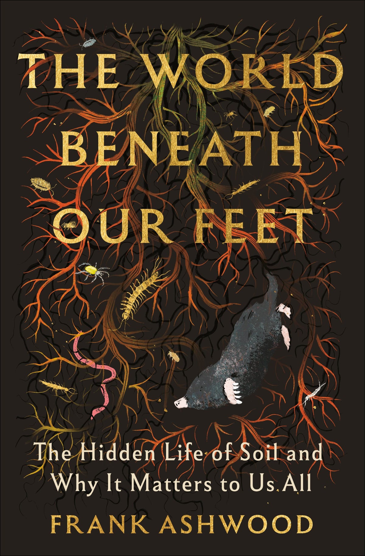 The World Beneath Our Feet by Frank Ashwood