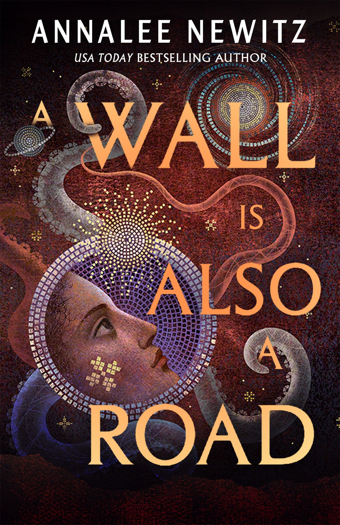 A Wall Is Also a Road by Annalee Newitz
