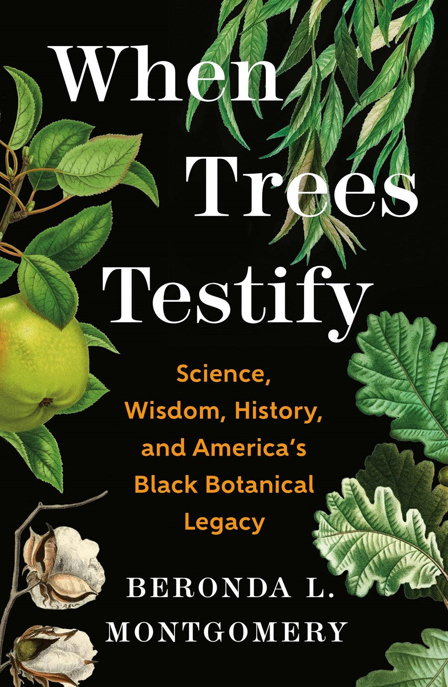 When Trees Testify by Beronda L. Montgomery