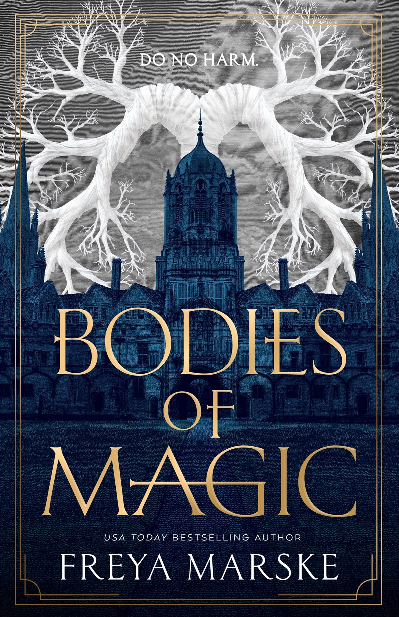 Bodies of Magic by Freya Marske