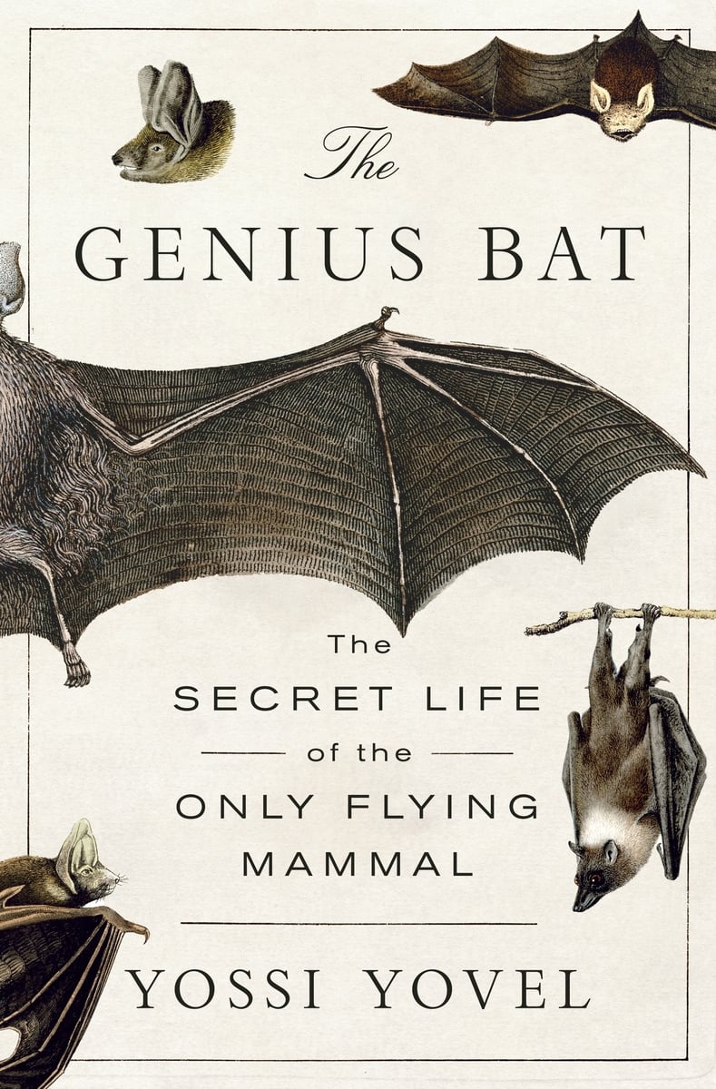 The Genius Bat by Yossi Yovel