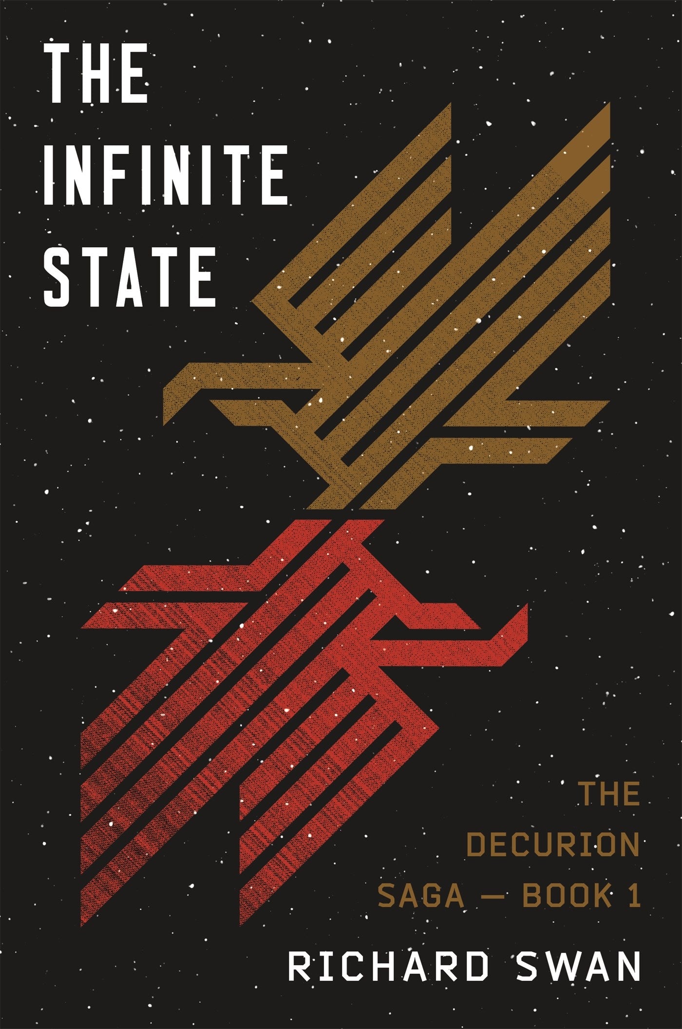 The Infinite State by Richard Swan