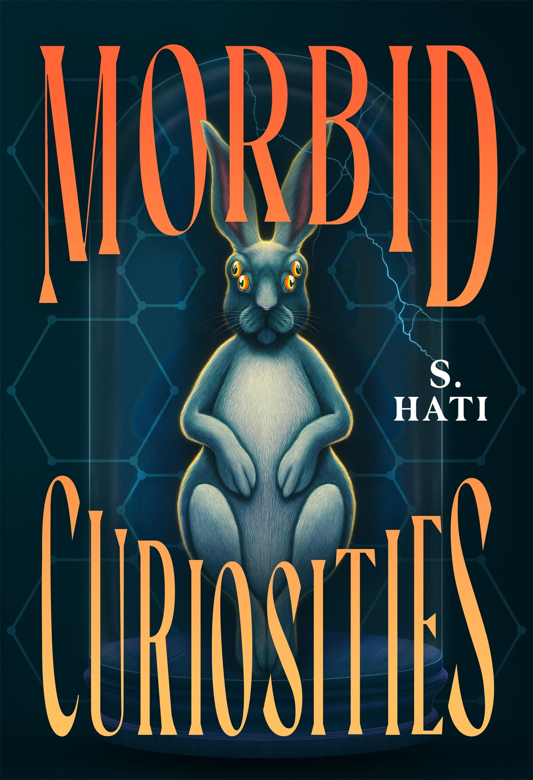 Morbid Curiosities by S. Hati