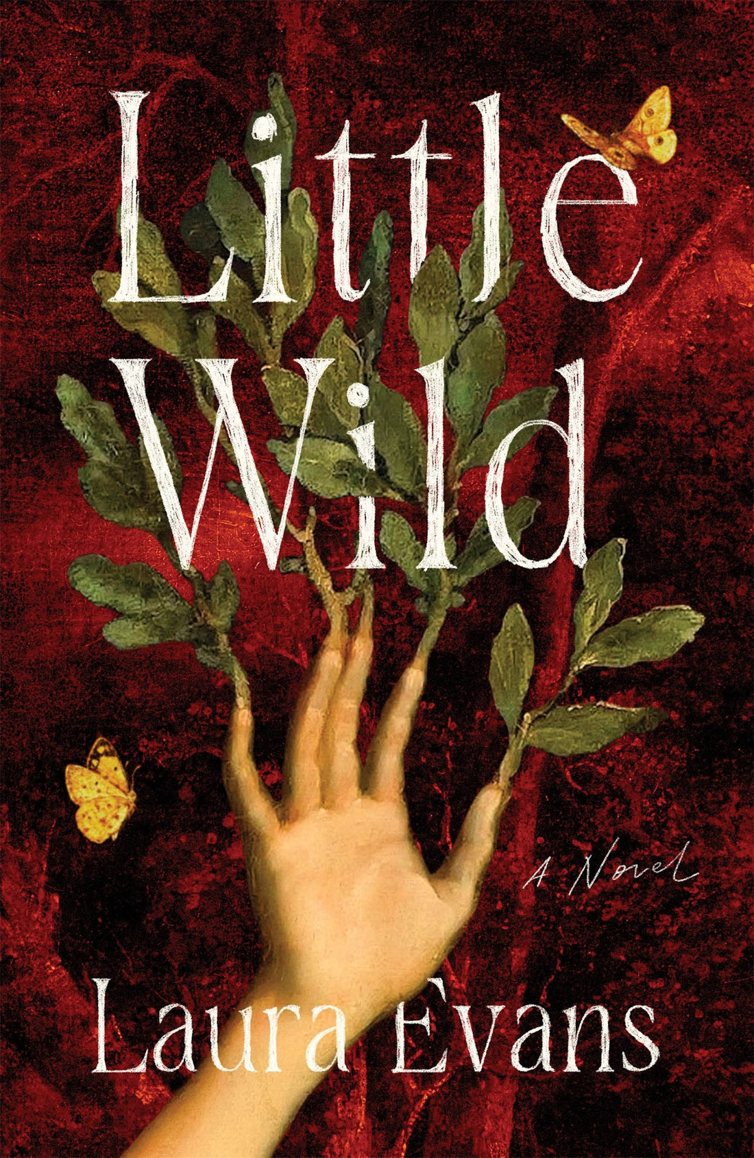Little Wild by Laura Evans