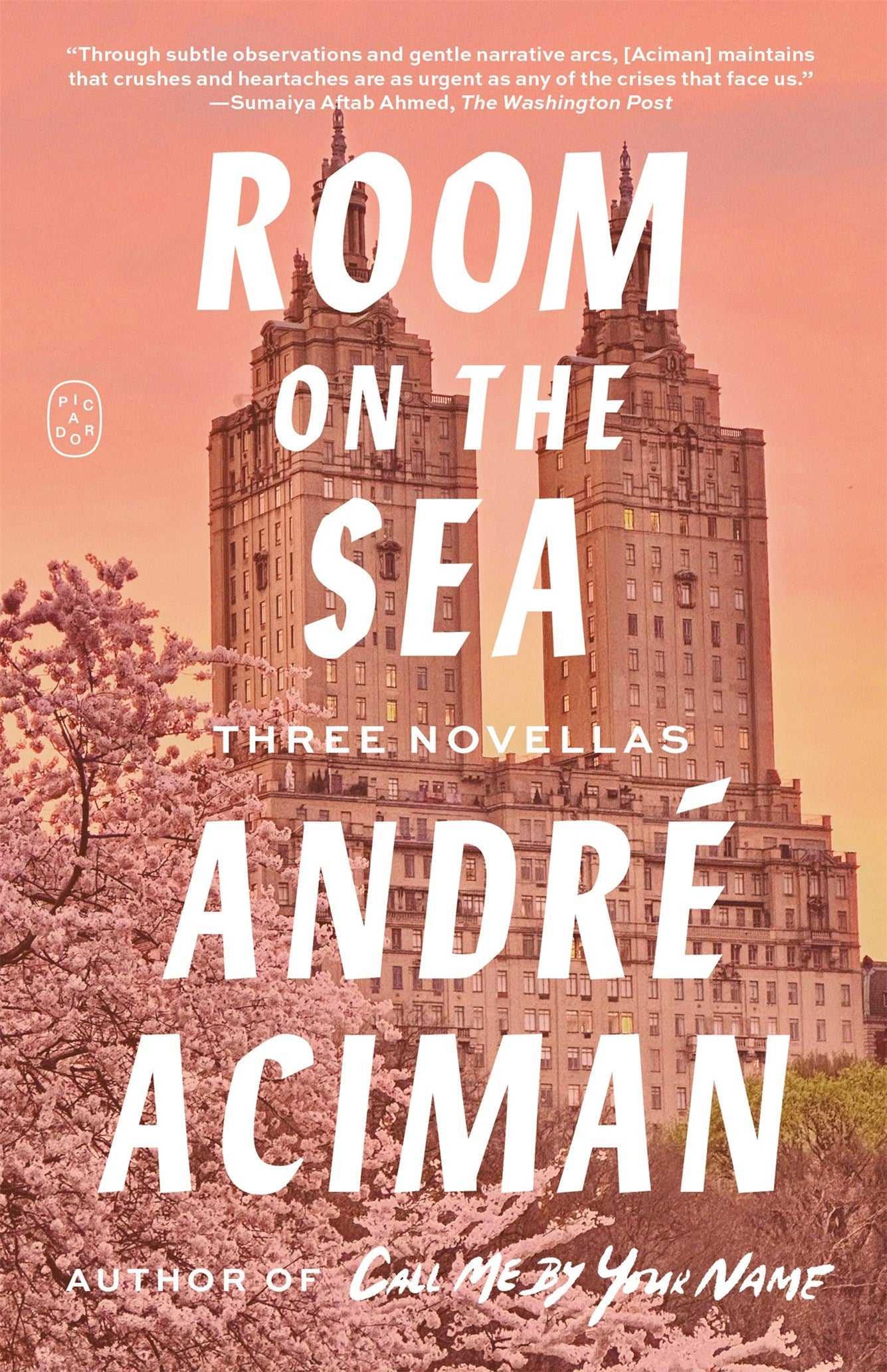 Room on the Sea by Andre Aciman