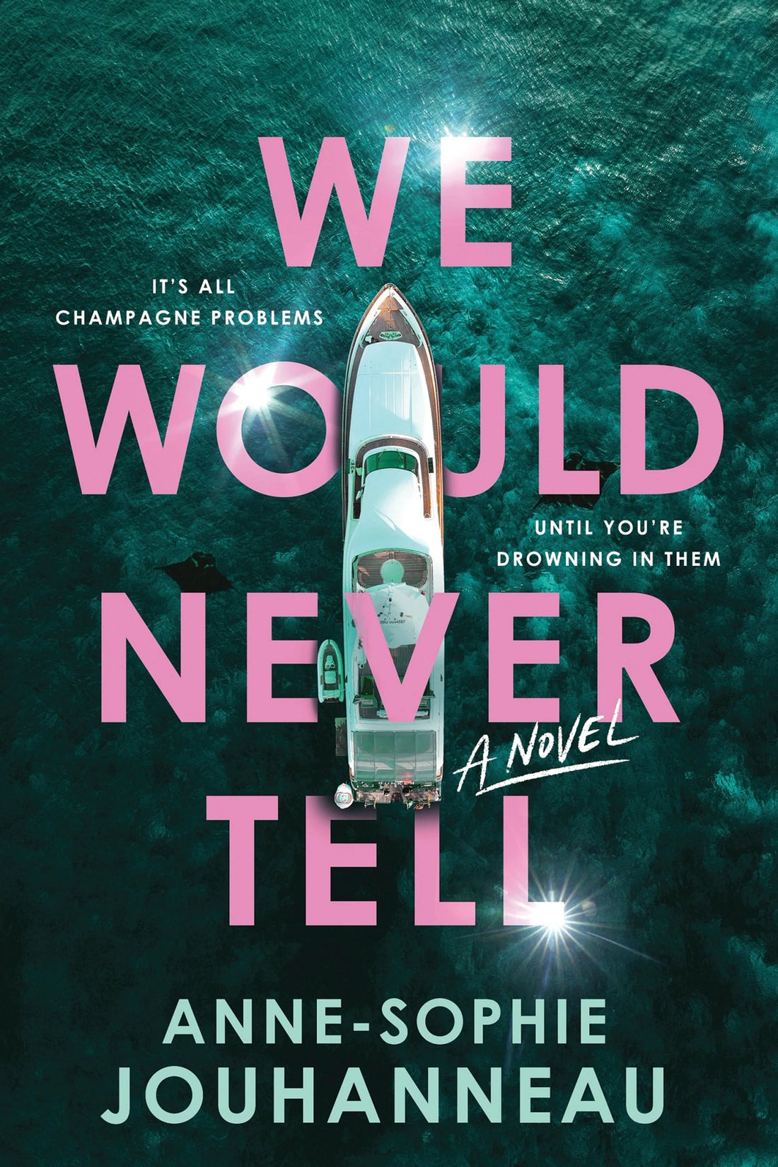 We Would Never Tell by Anne-Sophie Jouhanneau