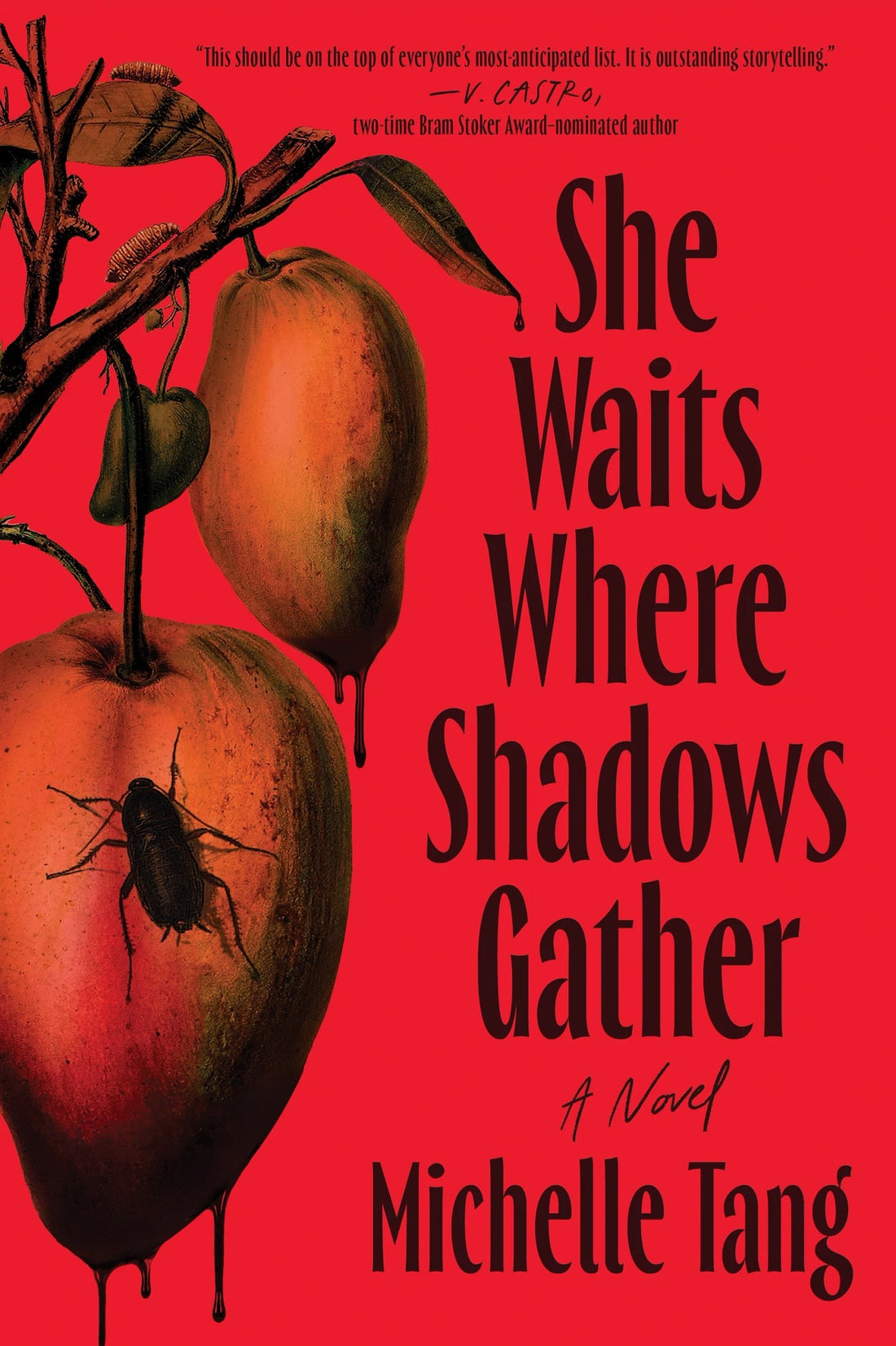 She Waits Where Shadows Gather by Michelle Tang