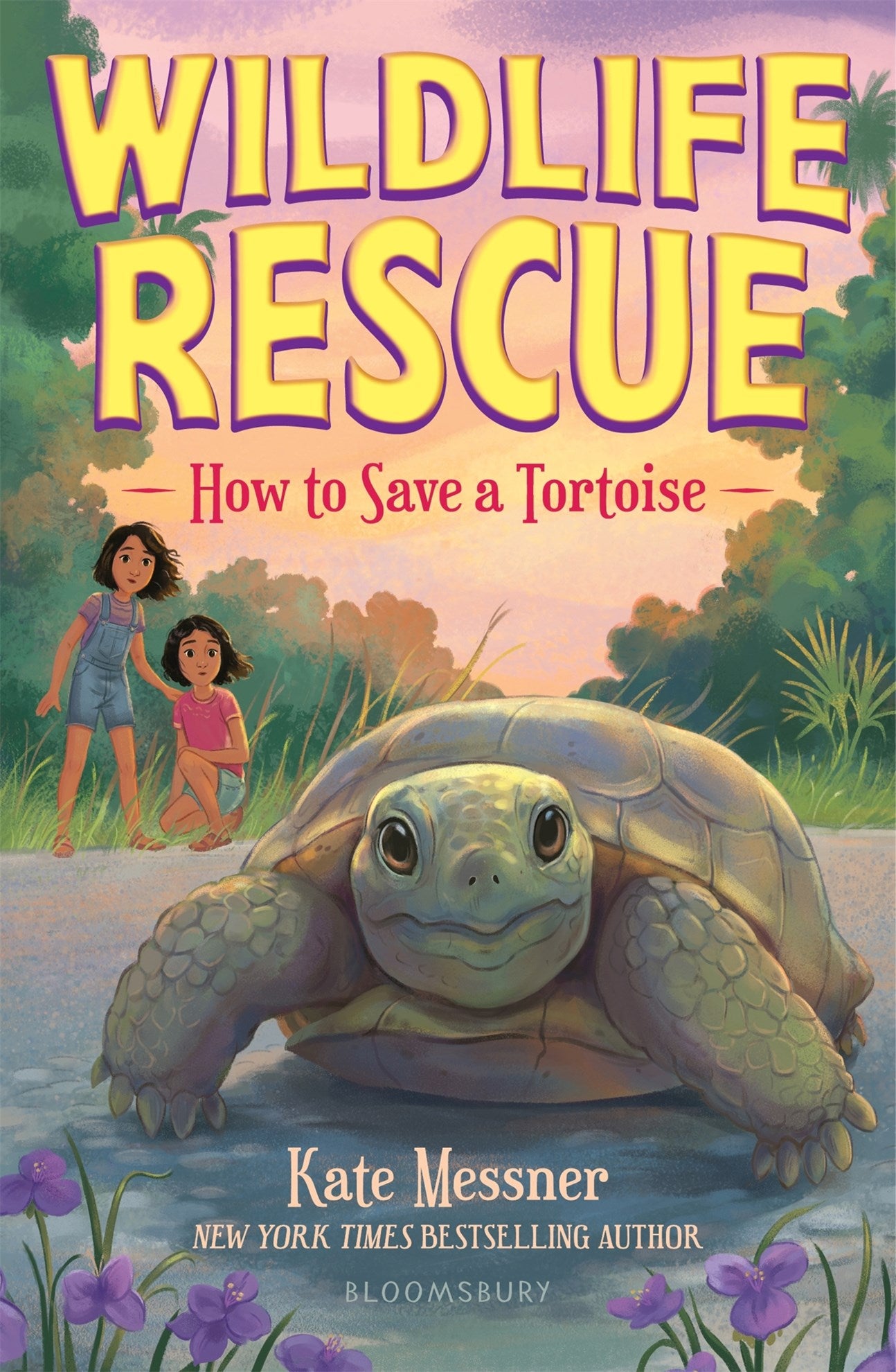 How to Save a Tortoise by Kate Messner