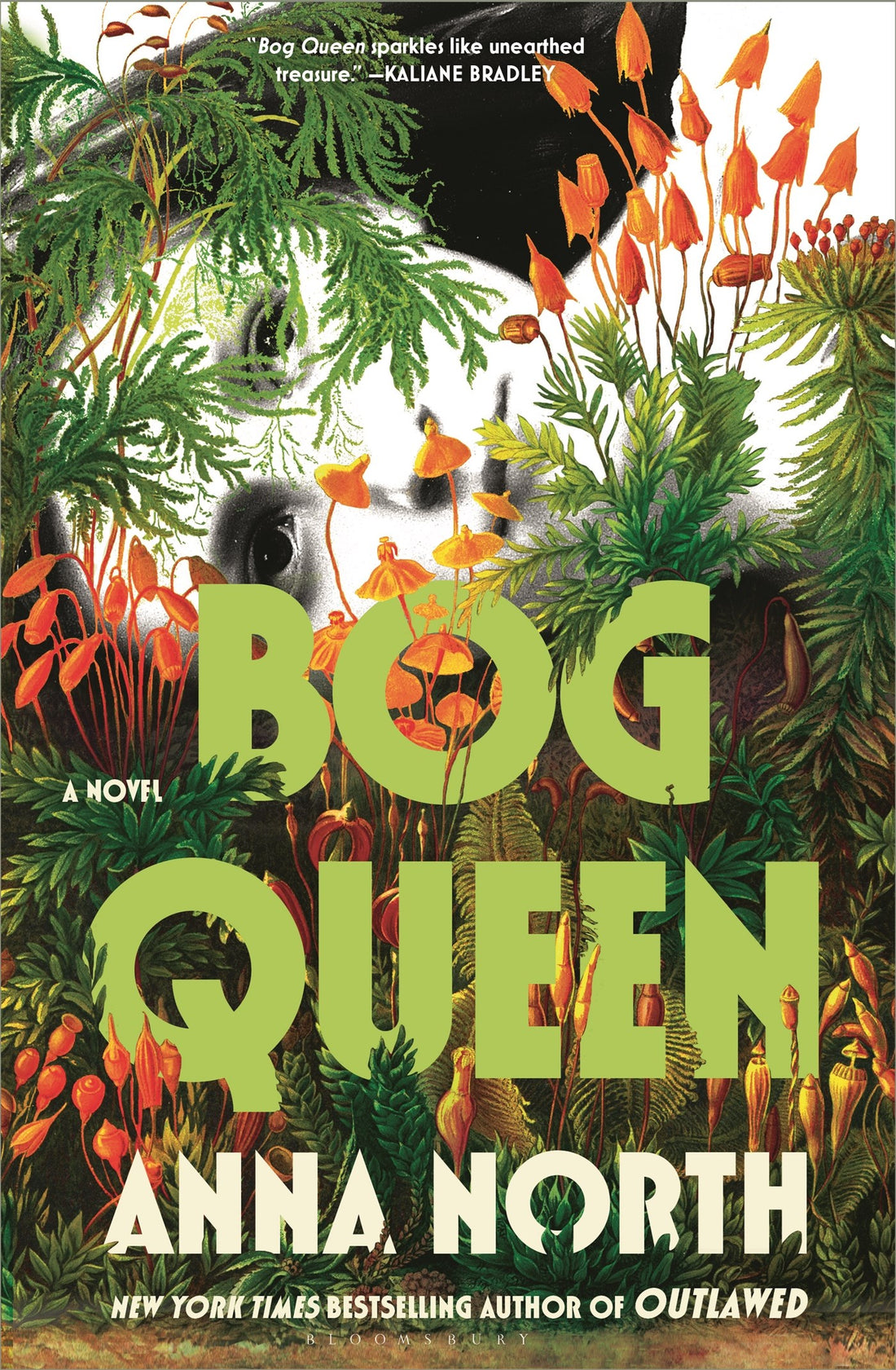 Bog Queen by Anna North