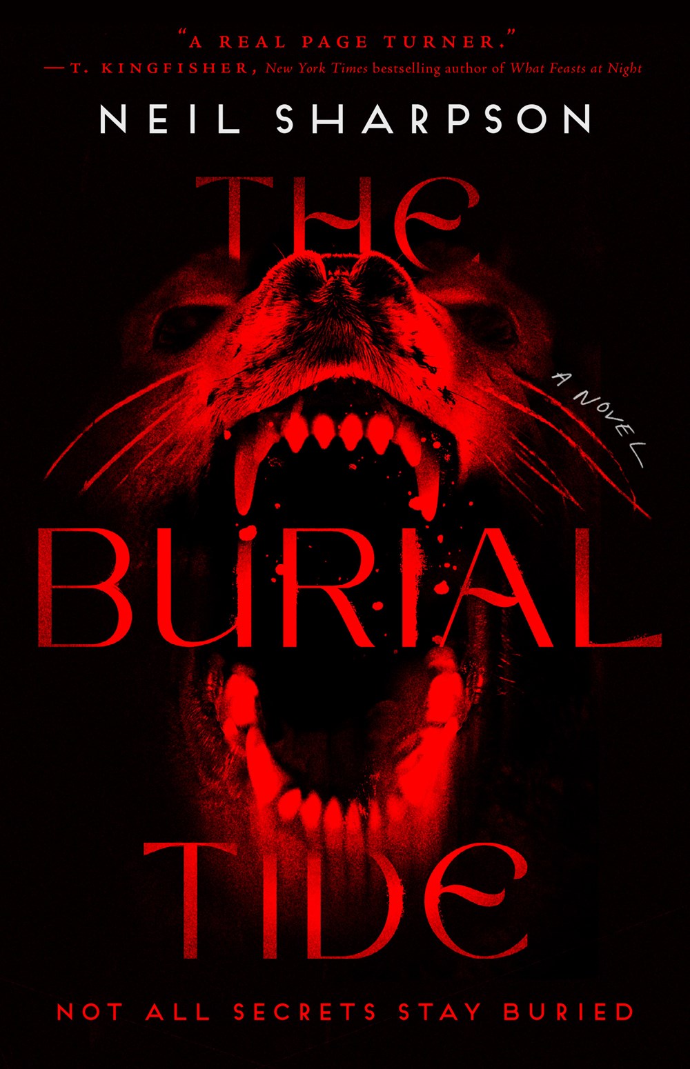 The Burial Tide by Neil Sharpson