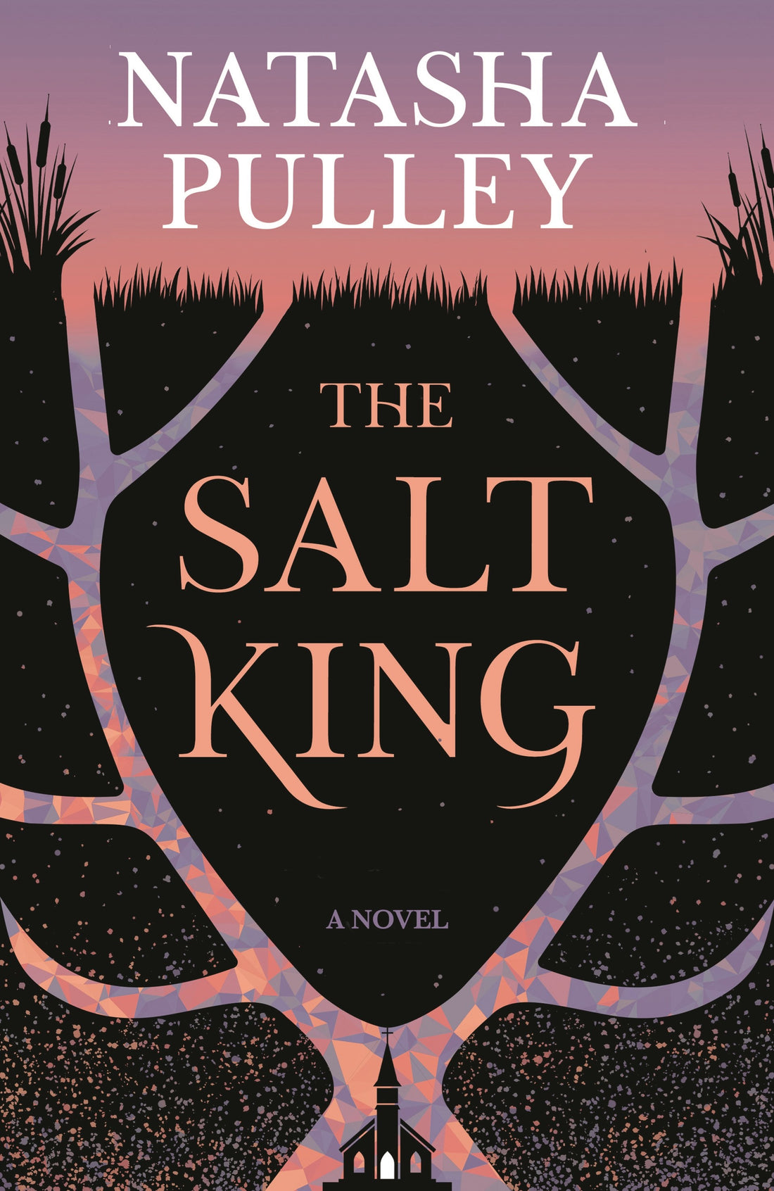 Salt King by Natasha Pulley