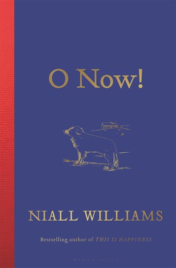 O Now! by Niall Williams
